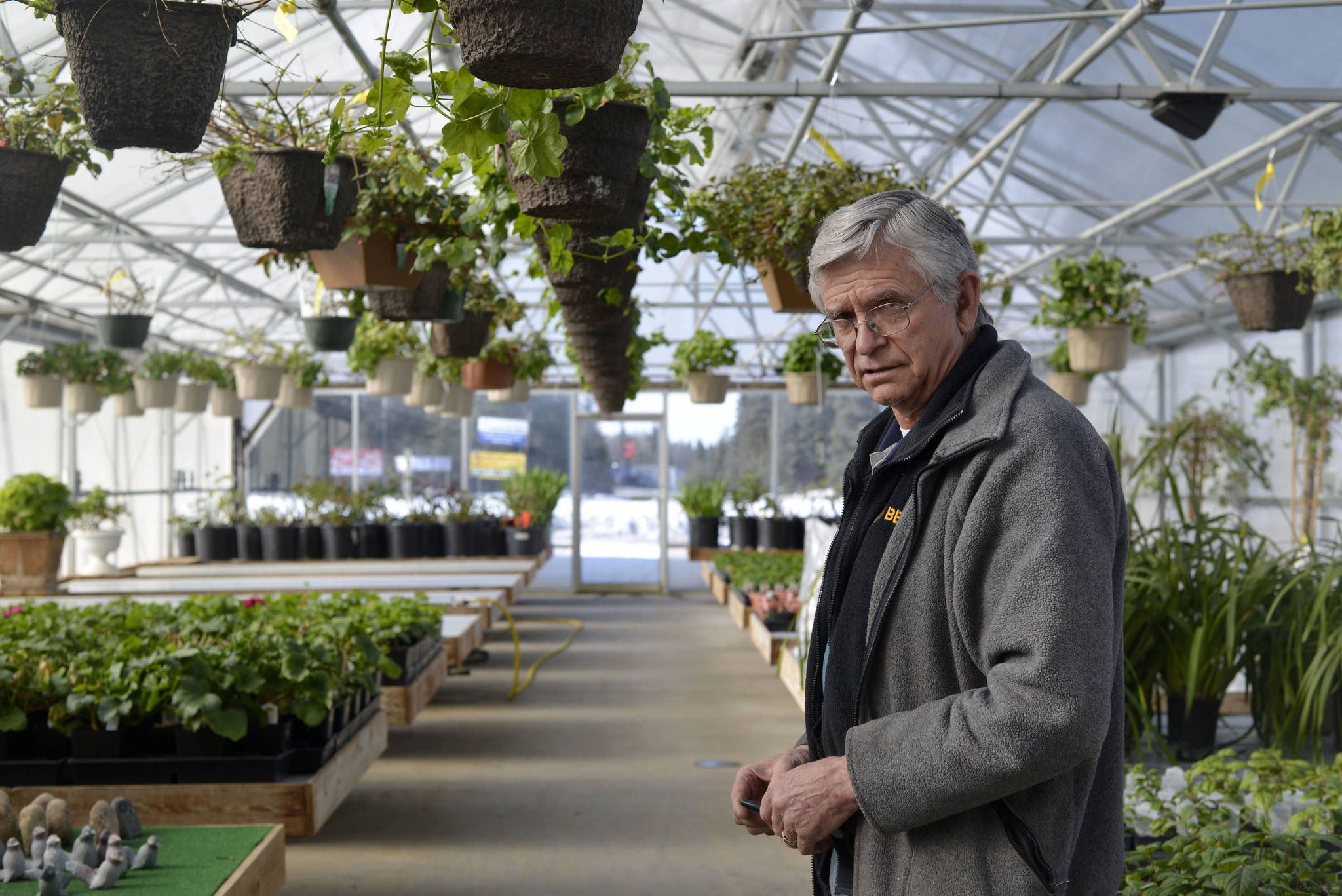 Ron Sexton, owner of Trinity Greenhouse in Soldotna, opened his doors to the public on March 1, but has been working all winter long to get his greenhouses ready for the 2017 season. (Kat Sorensen/Peninsula Clarion)
