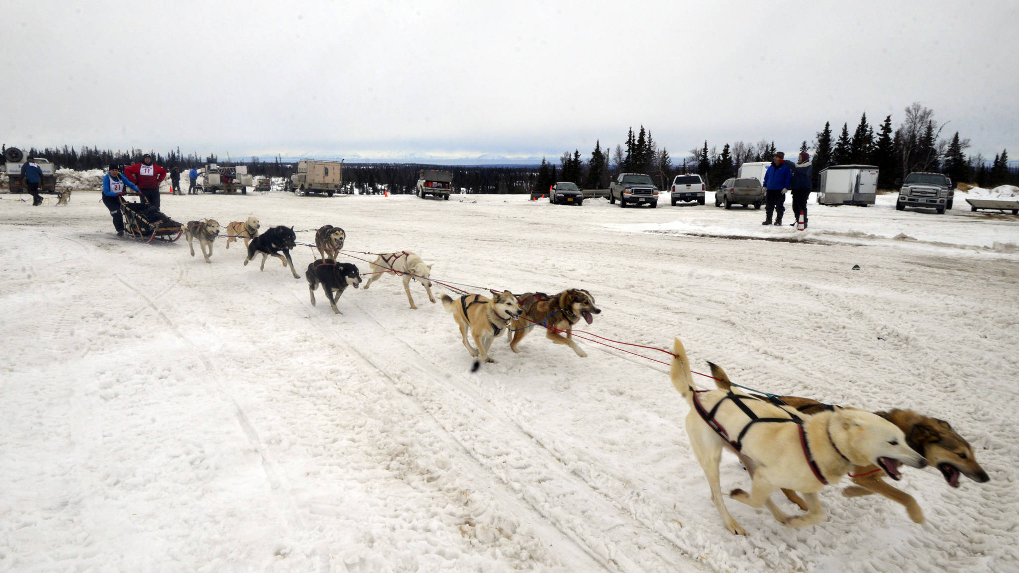 A dog sled takes off at the start of Freddie’s Midnight Run in Caribou Hills on Saturday, April 1. The 86-mile race is made up of two runs of a 43-mile trail through Caribou Hills, starting at ending at Freddie’s Roadhouse. (Kat Sorensen/Peninsula Clarion).