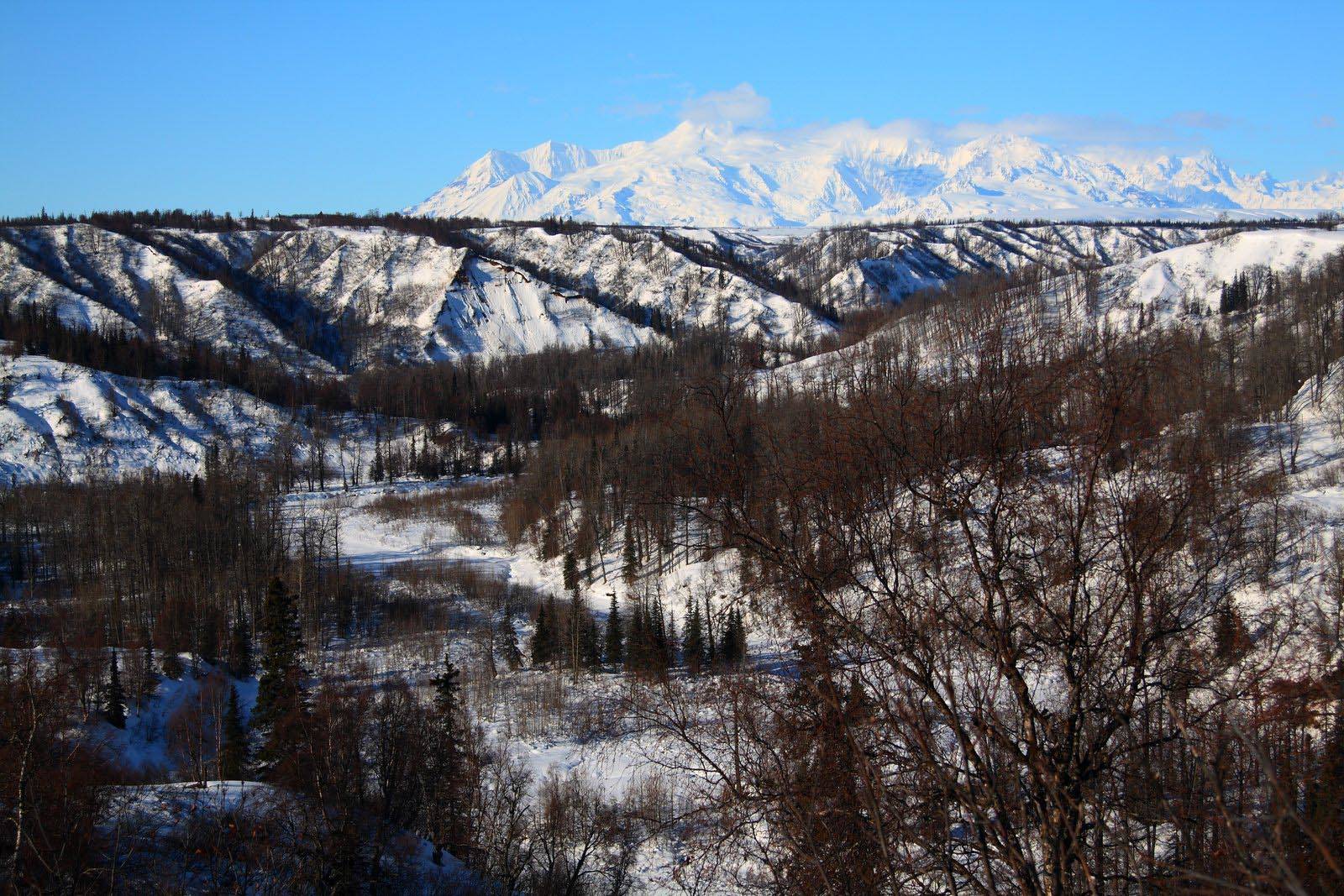 Mt. Spurr towers high over the Chuitna River on the west side of Cook Inlet near Tyonek, Alaska. PacRim, the company investing in the mine, informed the state March 31 that it was suspending its quest for permits for the mine, which would have extensively strip-mined throughout the Chuitna River watershed. (Photo courtesy Ground Truth Trekking)