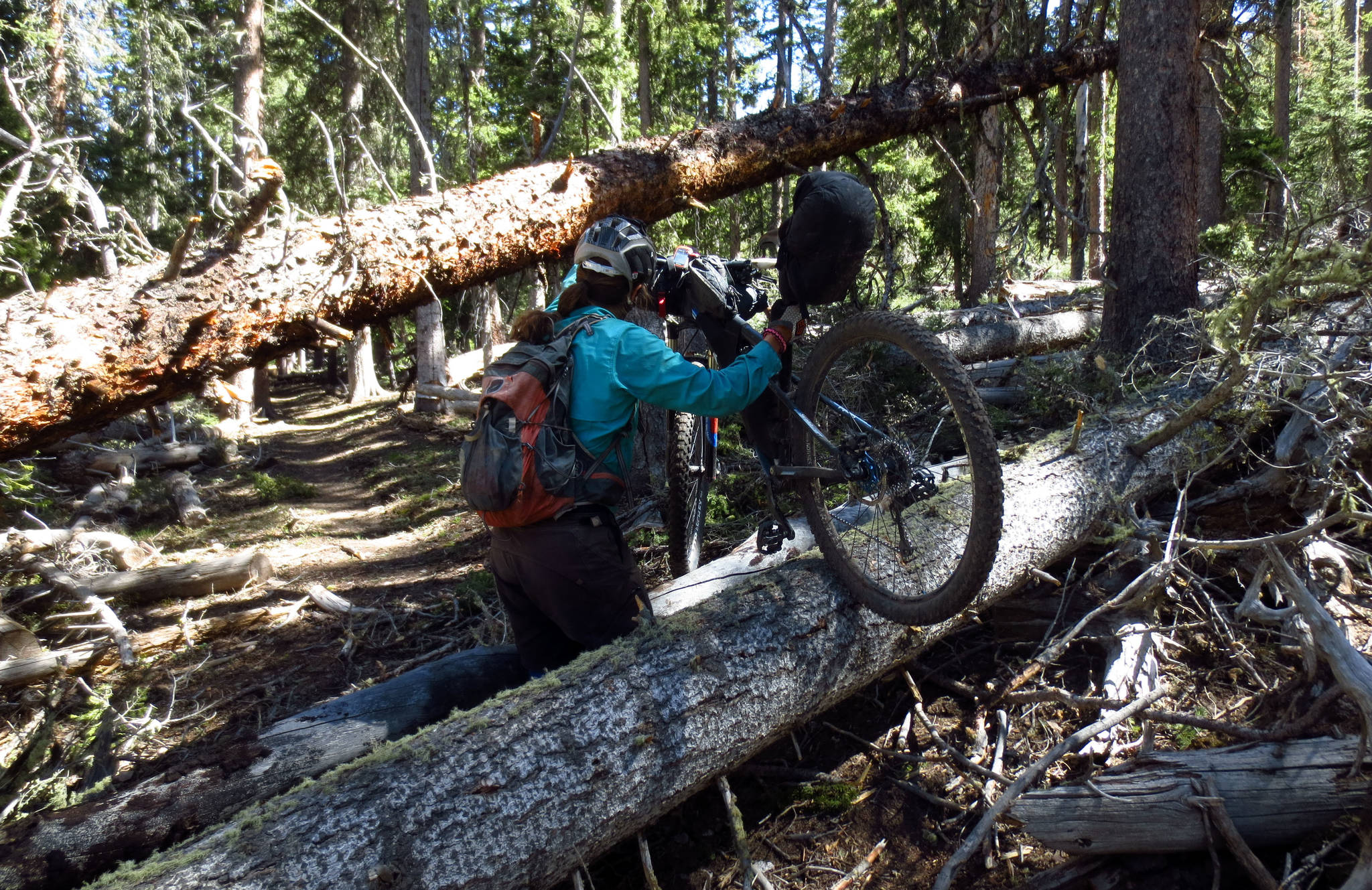 In this June 2, 2014 photo provided by Scott Morris, Eszter Horanyi carries her loaded bikepacking bike over downed trees in New Mexico on the Continental Divide Trail. (Scott Morris via AP)