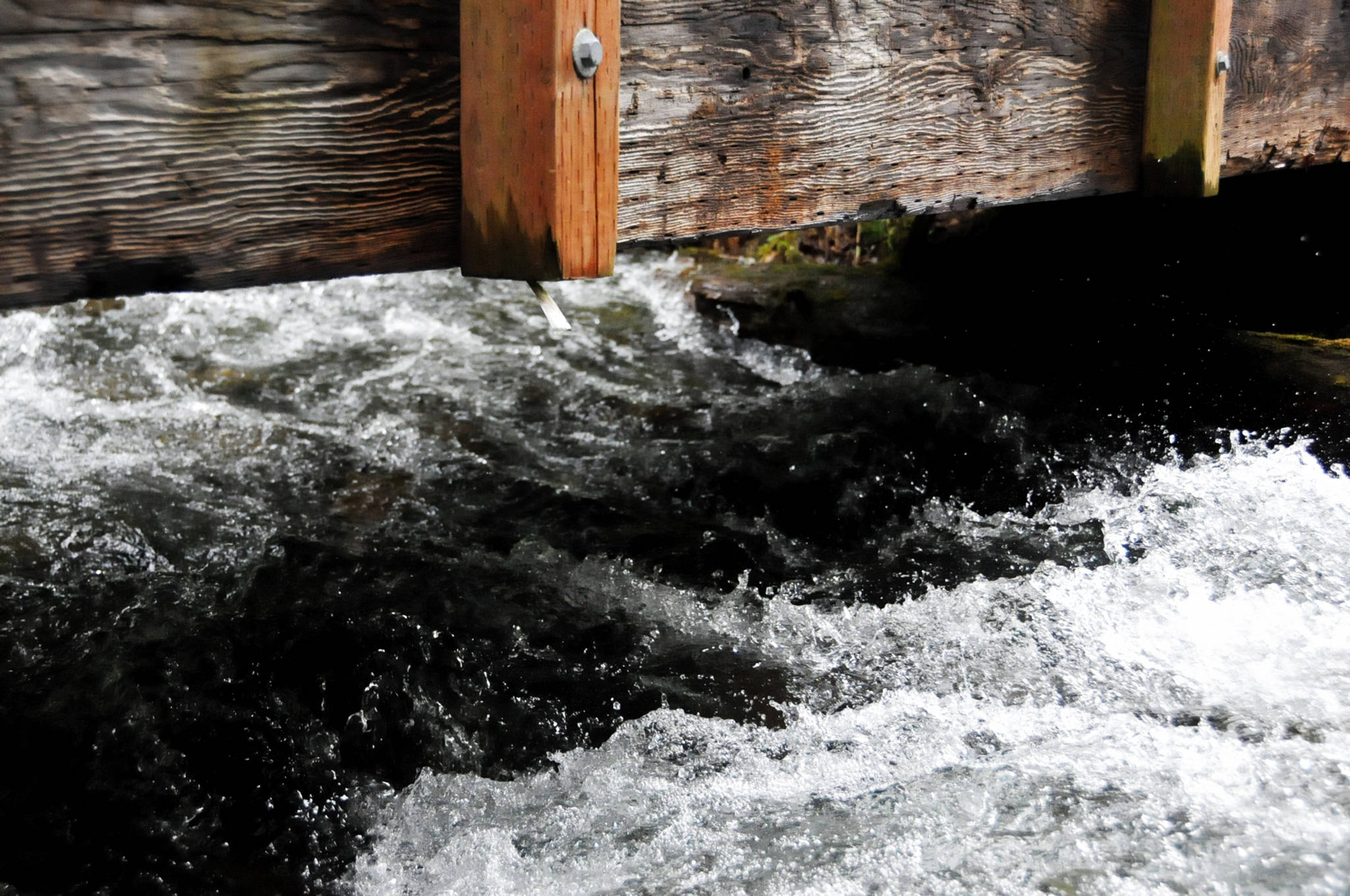 In this July 2016 photo, the Russian River rushes under a bridge along the Russian River Trail near Cooper Landing, Alaska. (Elizabeth Earl/Peninsula Clarion, file)