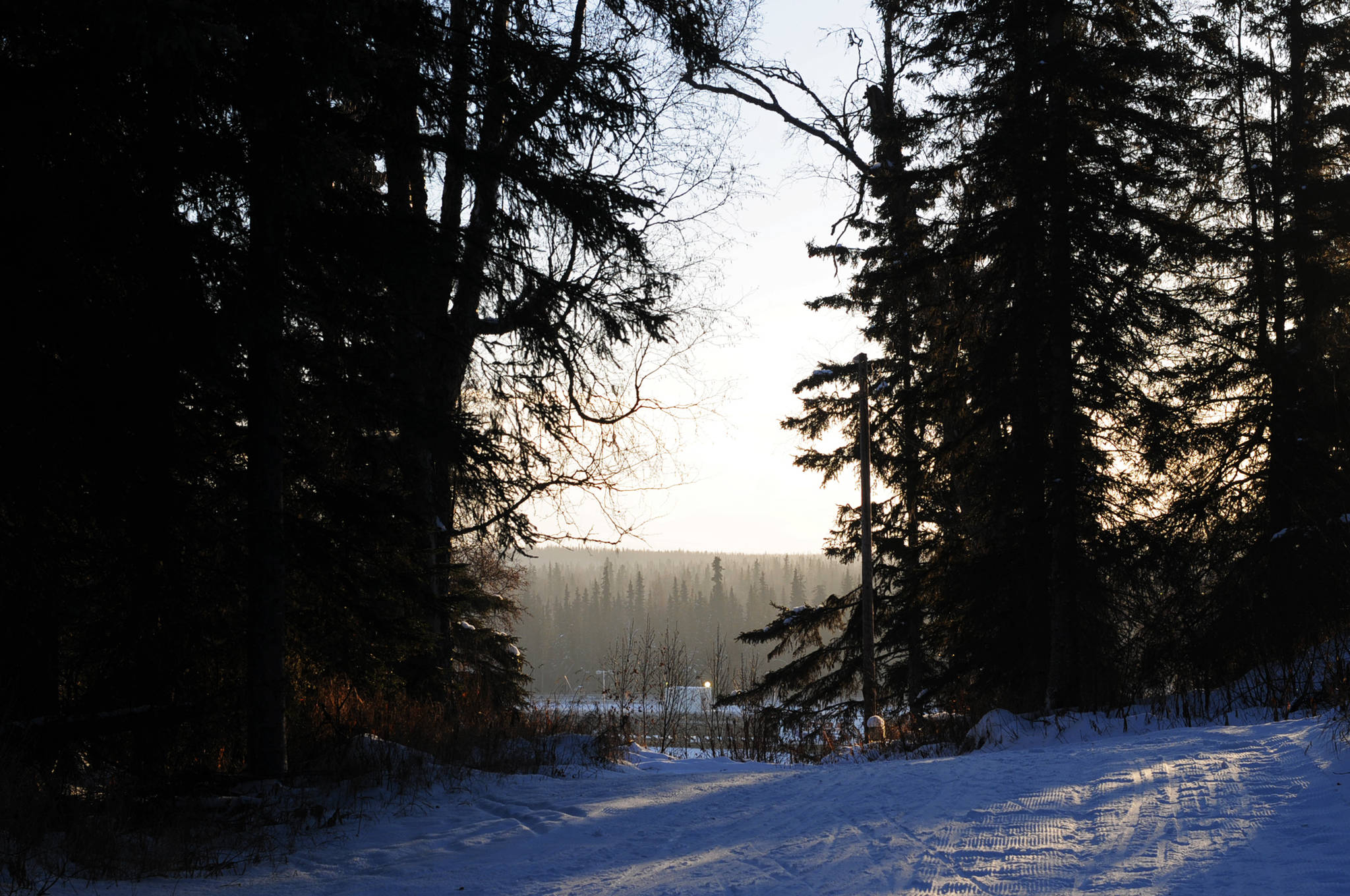 In this December 2016 photo, the sun peeks through the trees on the Tsalteshi Trails system near Soldotna, Alaska. The Tsalteshi Trails Association has applied to the Kenai Peninsula Borough for a Community Trails Management Agreement to expand the popular trail system to the south, providing a space for non-skiers to enjoy the trails in the winter. (Elizabeth Earl/Peninsula Clarion, file)