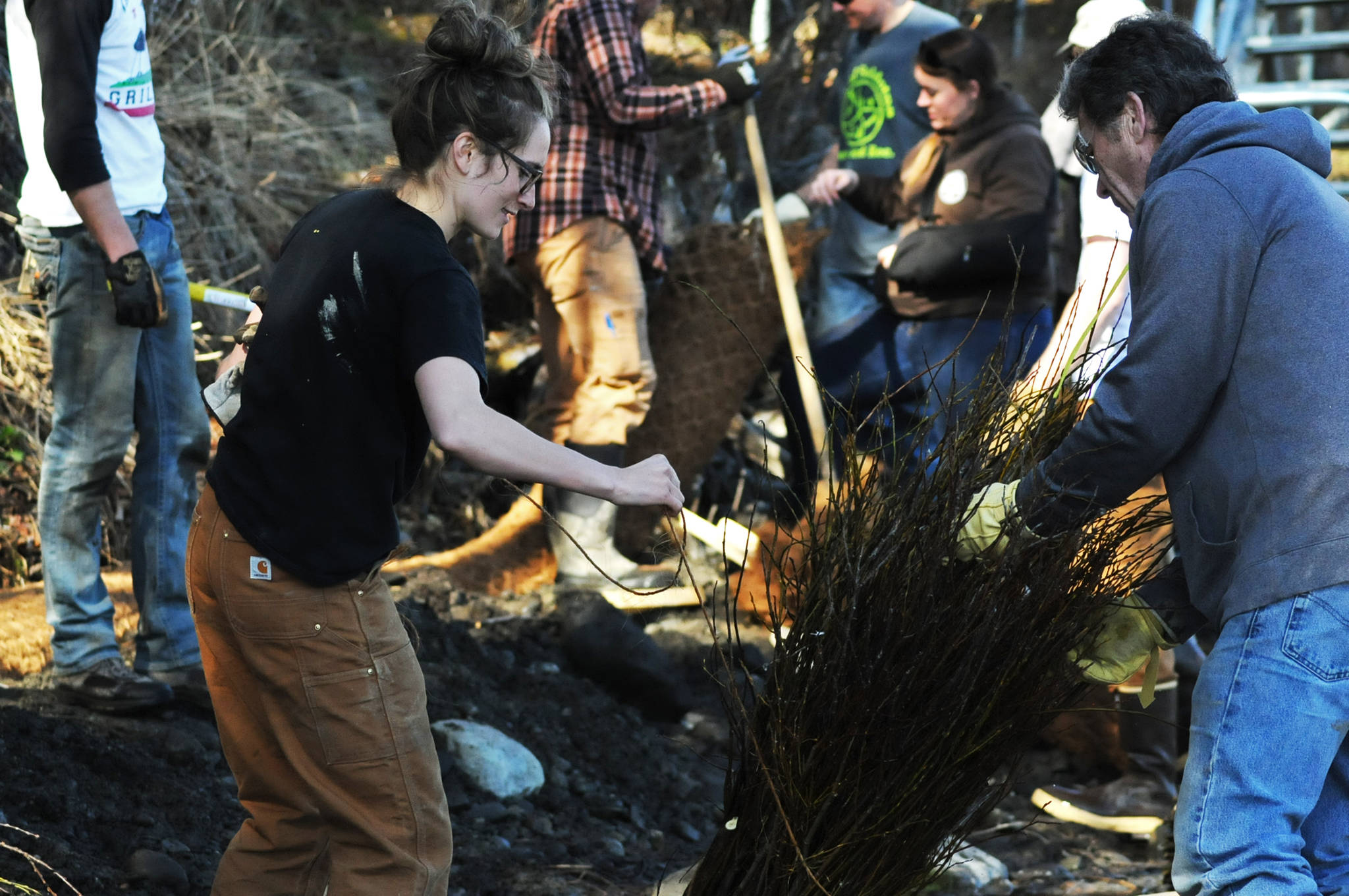 Participants in a streambank rehabilitation workshop at the Donald E. Giman River Center unwrap bundles of felt willow to install as reinforcement along a damaged section of the Kenai River’s bank Wednesday, May 10, 2017 in Soldotna, Alaska. The free two-day annual workshop, hosted by the Alaska Department of Fish and Game, teaches people how to properly repair damaged fish habitat along streams in Alaska. (Elizabeth Earl/Peninsula Clarion)  Participants in a streambank rehabilitation workshop at the Donald E. Giman River Center unwrap bundles of felt willow to install as reinforcement along a damaged section of the Kenai River’s bank Wednesday in Soldotna. The free two-day annual workshop, hosted by the Alaska Department of Fish and Game, teaches people how to properly repair damaged fish habitat along streams in Alaska. (Elizabeth Earl/Peninsula Clarion)