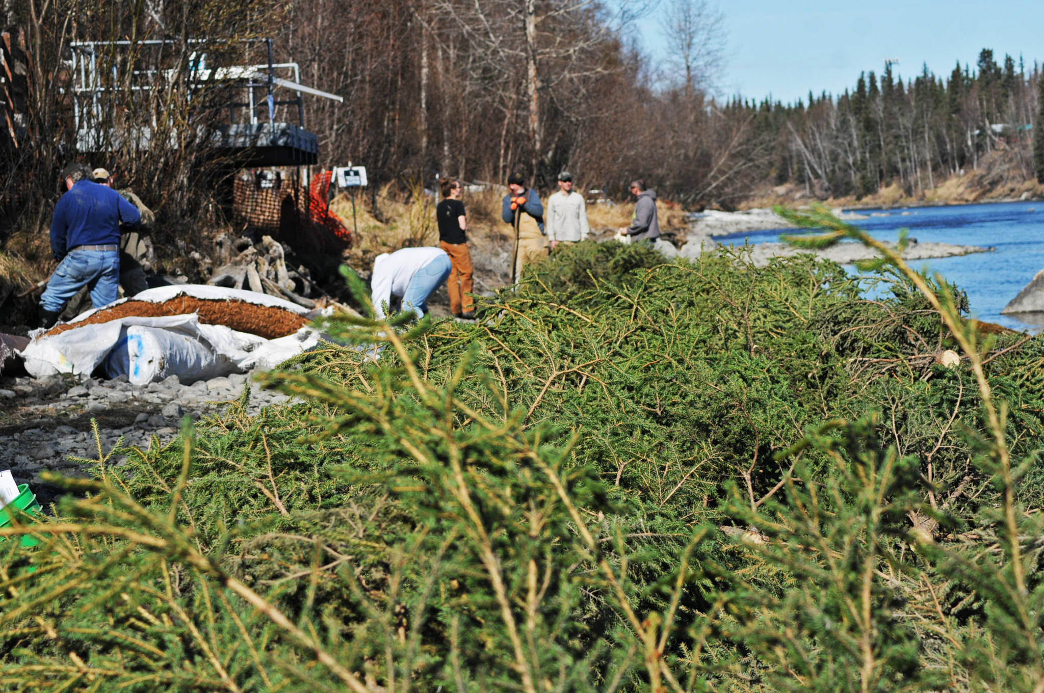 Participants in a streambank rehabilitation workshop at the Donald E. Giman River Center work to repair a damaged section of the Kenai River’s bank Wednesday, May 10, 2017 in Soldotna, Alaska. The free two-day annual workshop, hosted by the Alaska Department of Fish and Game, teaches people how to properly repair damaged fish habitat along streams in Alaska. (Elizabeth Earl/Peninsula Clarion)  Participants in a streambank rehabilitation workshop at the Donald E. Giman River Center work to repair a damaged section of the Kenai River’s bank Wednesday in Soldotna. The free two-day annual workshop, hosted by the Alaska Department of Fish and Game, teaches people how to properly repair damaged fish habitat along streams in Alaska. (Elizabeth Earl/Peninsula Clarion)