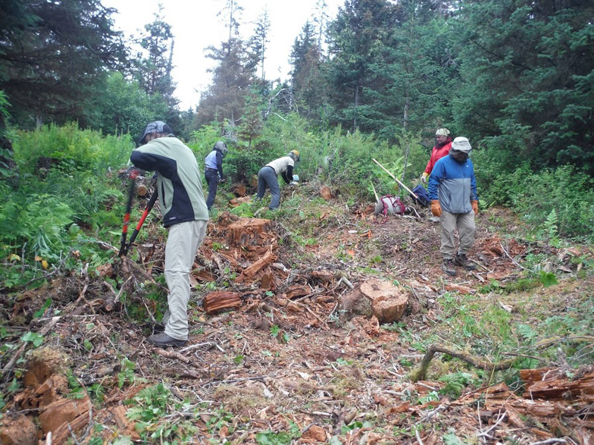 Volunteers clear vegetation in Kachemak Bay State Park in summer 2016. This year, volunteers will have the opportunity to cross the bay and volunteer to clear trails on Saturday, June 3, as part of National Trails Day, or can volunteer for work parties on every Saturday throughout the summer through the Alaska Division of Parks and Outdoor Recreation. (Courtesy Christina Whiting/Alaska Division of Parks and Outdoor Recreation)