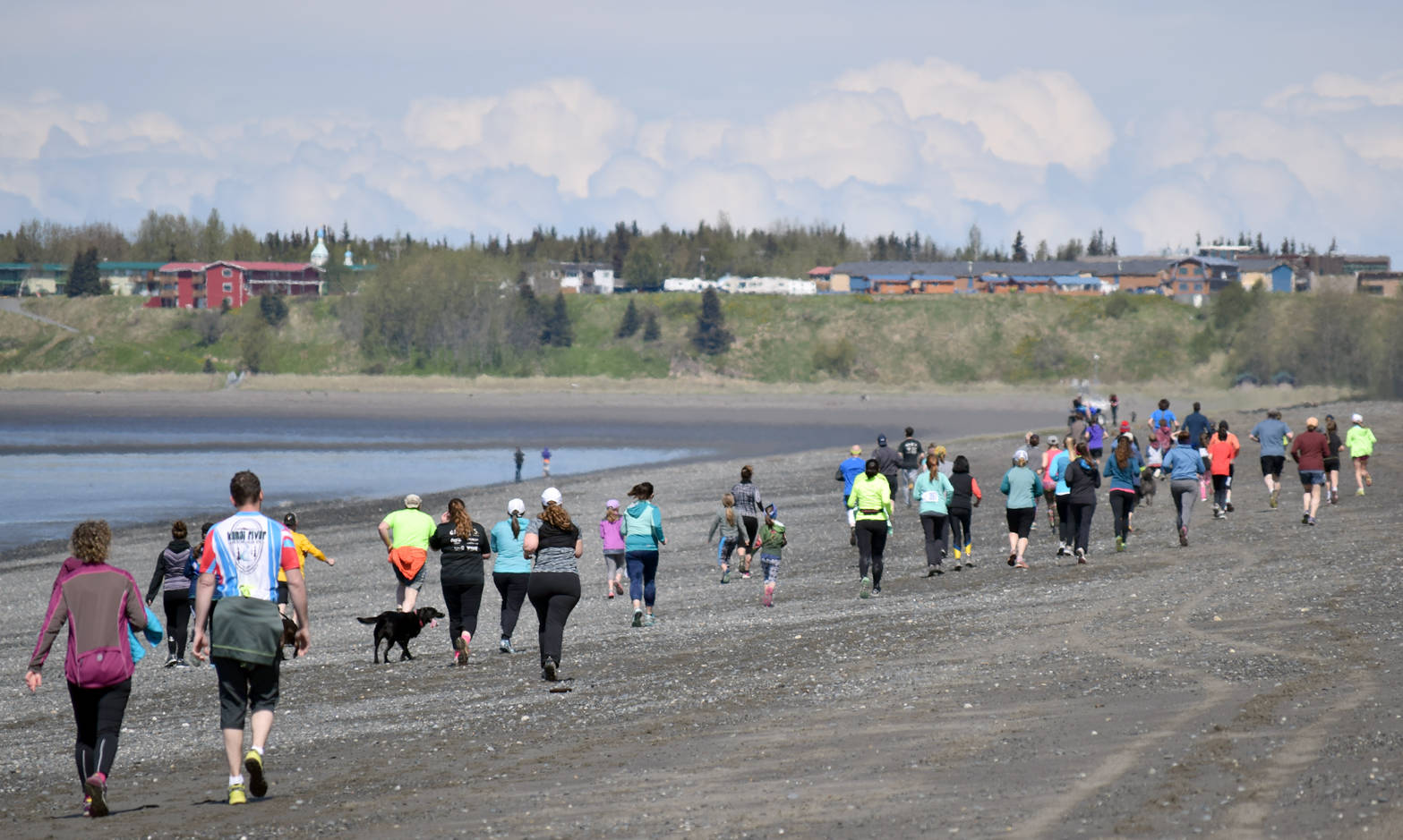 Runners and walkers take to the south Kenai beach for the three-mile event at the Mouth to Mouth Wild Run and Ride on Monday, May 29, 2017. (Photo by Jeff Helminiak/Peninsula Clarion)