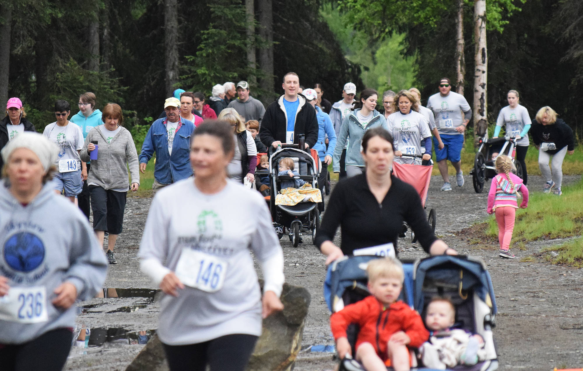 The field of runners in the Run for the River 5-kilometer race stream out onto the course Saturday morning in Soldotna. (Photo by Joey Klecka/Peninsula Clarion)