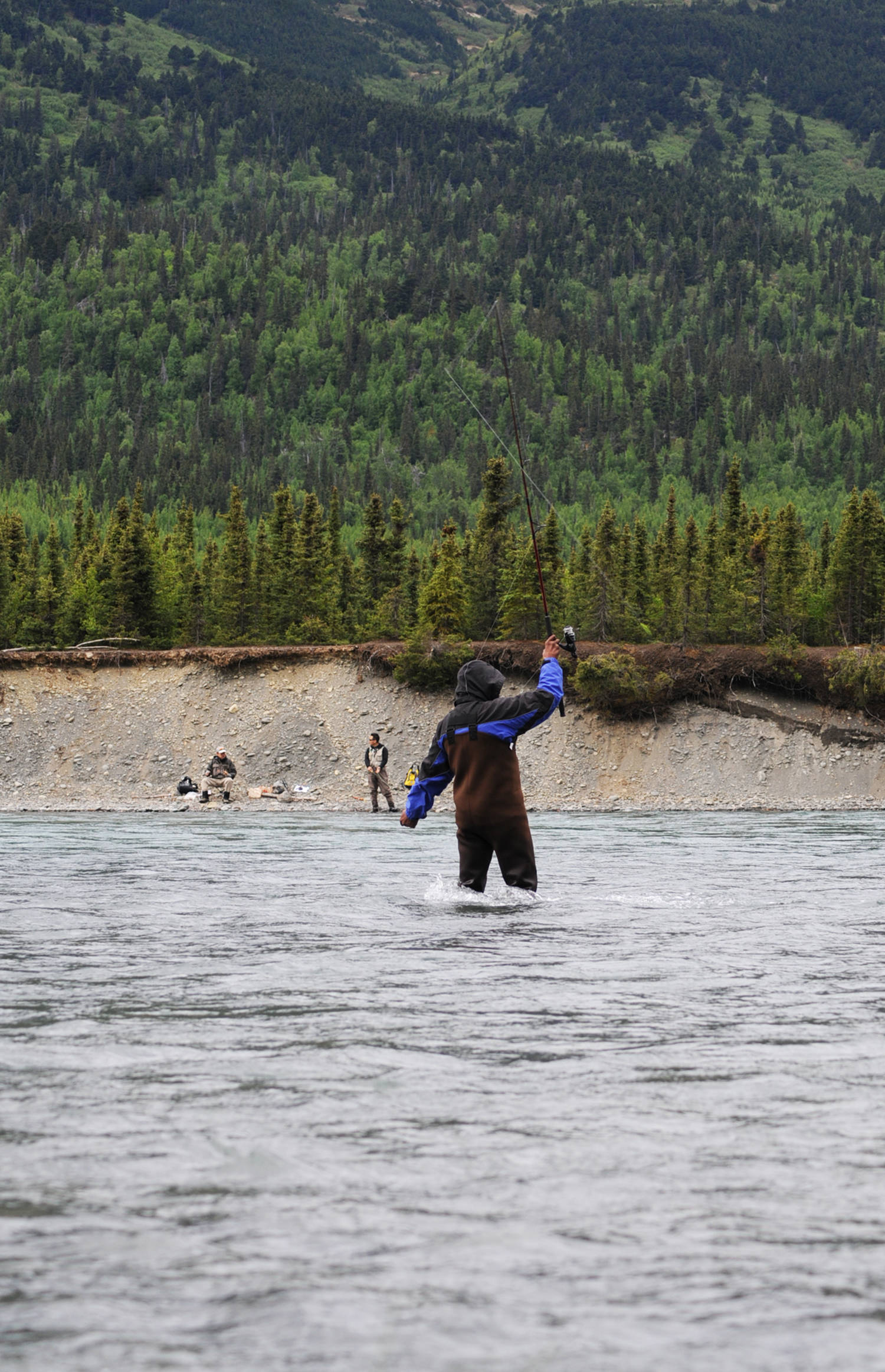 A flyfisherman casts for ockeye salmon on the bank of the Kenai River downstream of the confluence with the Russian River on Sunday, June 11, 2017 near Cooper Landing, Alaska. Sunday was the first opening for the popular Russian River sockeye salmon sportfishery, and by midmorning, many anglers were already packing out their limits of salmon while others pulled in their catches. As of Saturday, the Alaska Department of Fish and Game’s weir on Lower Russian Lake had counted 1,027 sockeye, more than triple the 274 that had passed the weir as of the same date in 2016. (Elizabeth Earl/Peninsula Clarion)