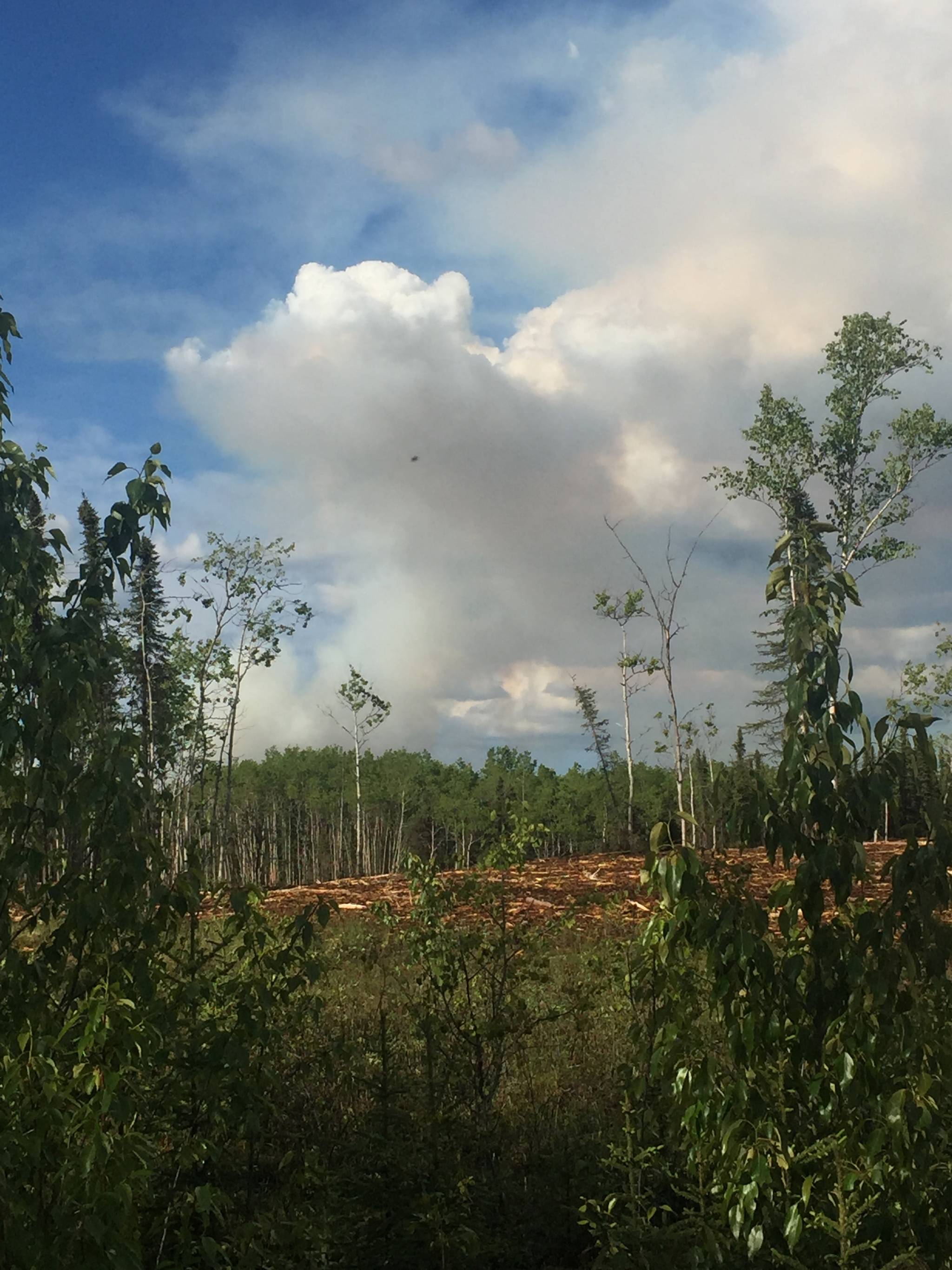 Smoke rises above the trees about a mile from Three Johns Road in Sterling Thursday evening. Firefighters are responding to a fire, believed to have been caused by a lightning strike, near Mile 76 of the Sterling Highway. (Photo by Megan Pacer/Peninsula Clarion)