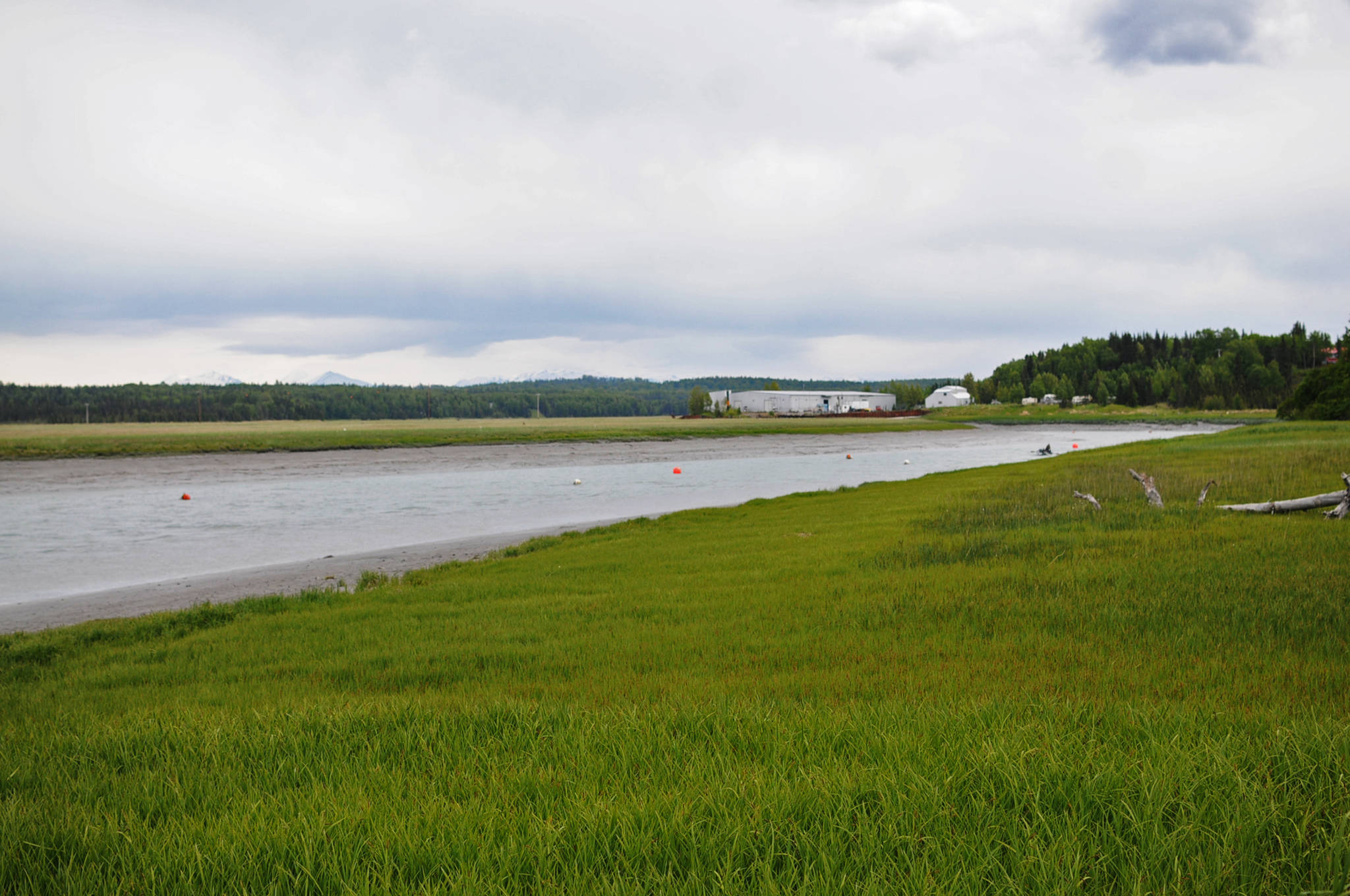 Commercial fishing buoys float in the Kasilof River near the Kasilof River Lodge and Cabins on Monday, June 19, 2017 in Kasilof, Alaska. (Photo by Elizabeth Earl/Peninsula Clarion)