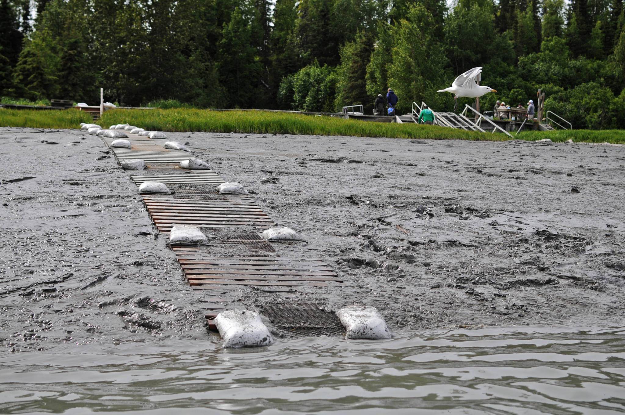 A sandbagged walkway runs alongside the boat takeout ramp at the Kasilof River Lodge and Cabins on the lower Kasilof River on Monday, June 19, 2017 in Kasilof, Alaska. The lodge has the only legal takeout facility for drift boats on the lower Kasilof River. (Photo by Elizabeth Earl/Peninsula Clarion)