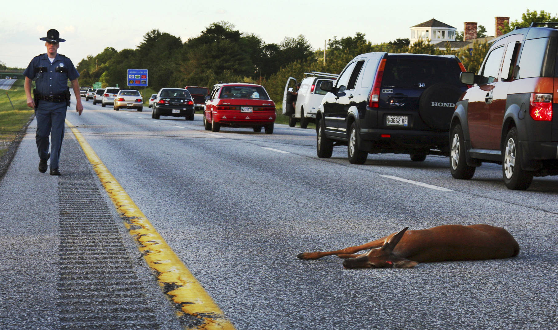 Oregon joins states where roadkill can be harvested for food