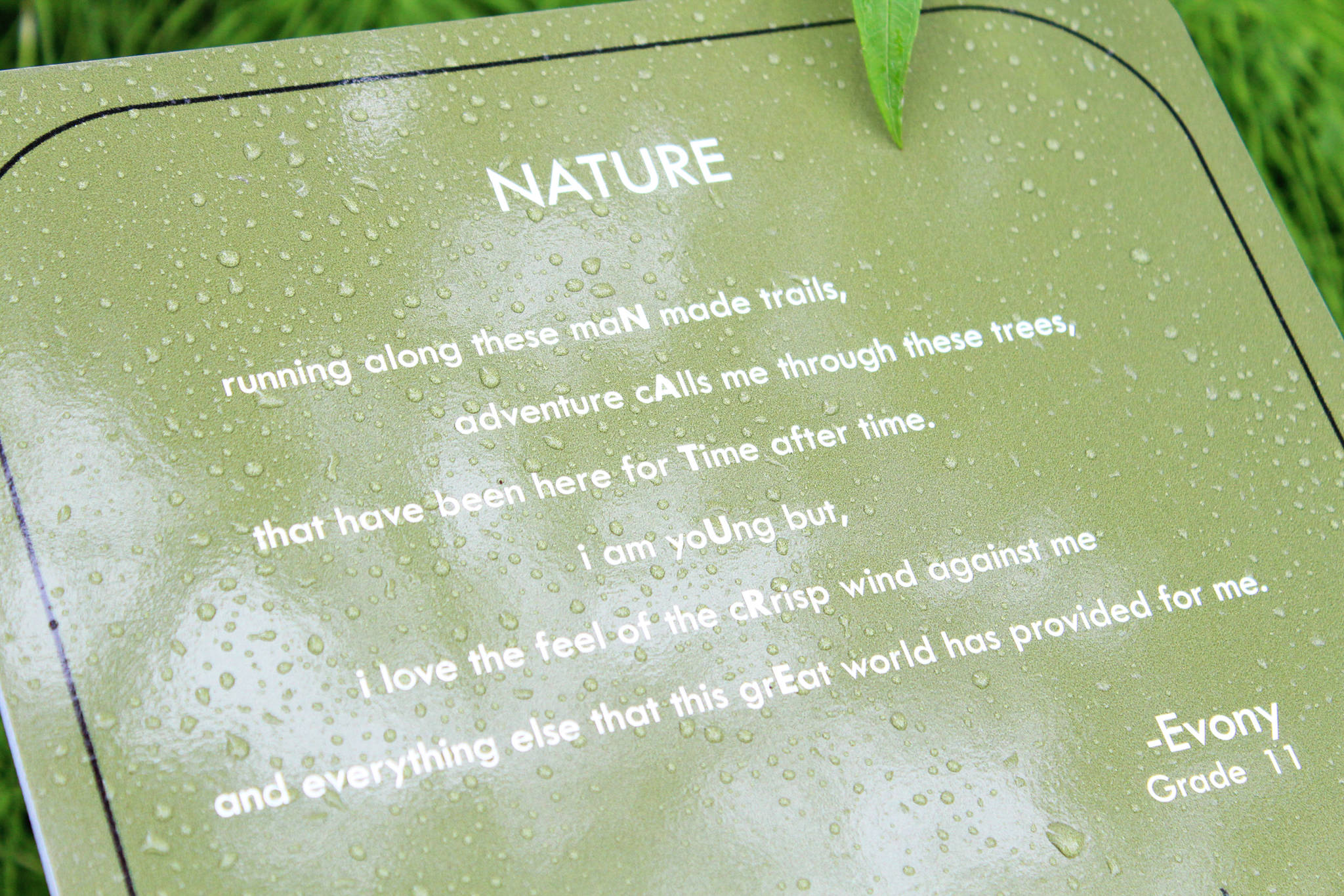 The poem “Nature” is displayed on a sign Saturday, July 1, 2017 on the trail at Kenai Municipal Park in Kenai, Alaska. The sign is one of 12 along the trail displaying the winning poems about nature chosen from 86 entries in the Pathways of Poetry project, spearheaded by the Kenai Parks and Recreation Department and Kenai Community Library. (Photo by Megan Pacer/Peninsula Clarion)