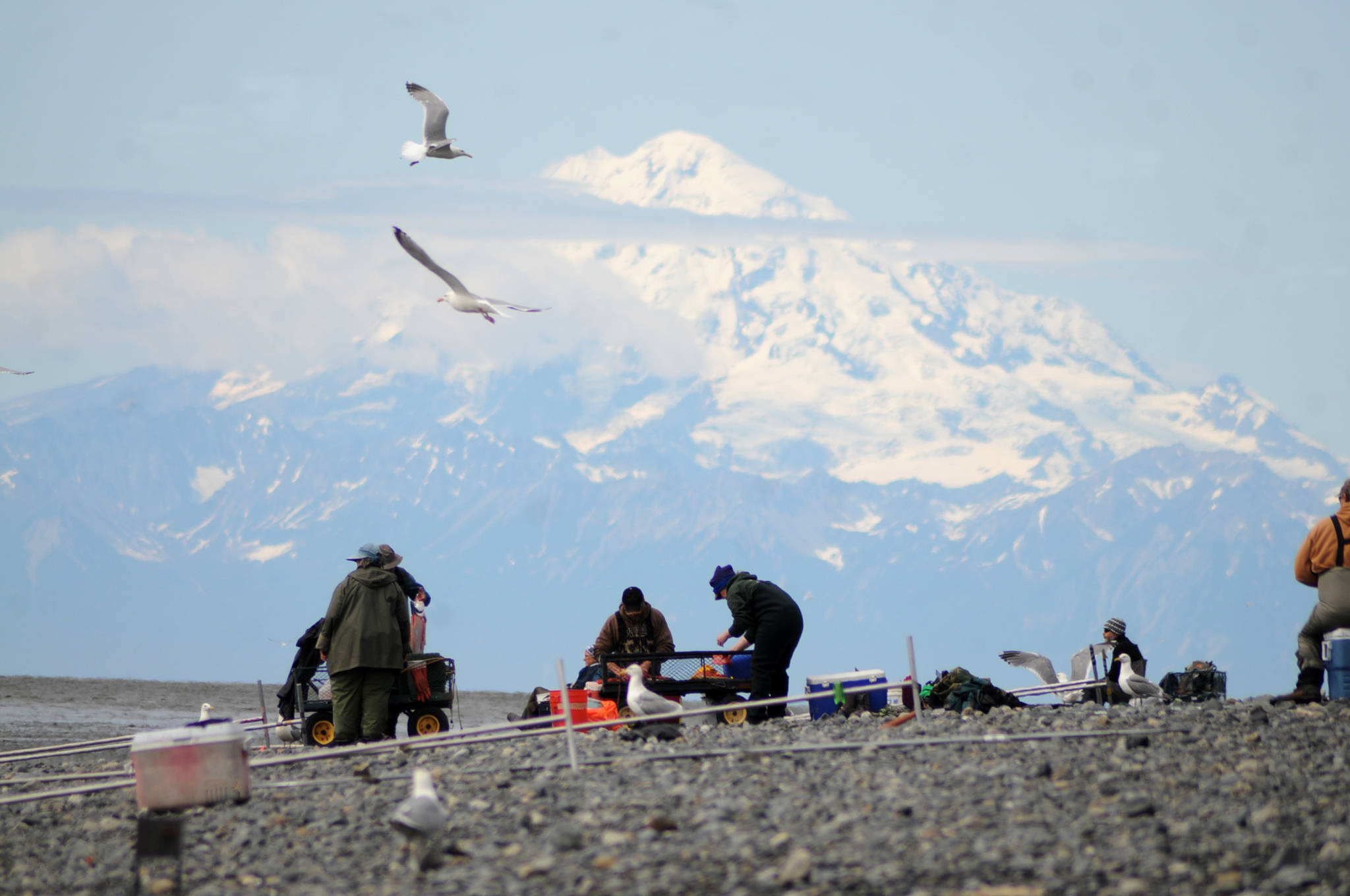 Mt. Redoubt looms over dipnetters on the north Kenai Beach on Tuesday, July 11, 2017 in Kenai, Alaska. Tuesday was the second day of the Kenai River personal-use dipnet fishery, which will remain open until July 31. The fishery was relatively quiet Tuesday, with a dipnetter hauling in a fish every once in awhile, and unlike many July weekends, there was plenty of room in the water for more participants. Sockeye salmon have been relatively slow to enter the Kenai this year, with about 94,885 past the Alaska Department of Fish and Game’s sonar as of Monday, significantly less than in 2016 but ahead of years like 2013, 2012 and 2011, according to Fish and Game data. (Photo by Elizabeth Earl/Peninsula Clarion)