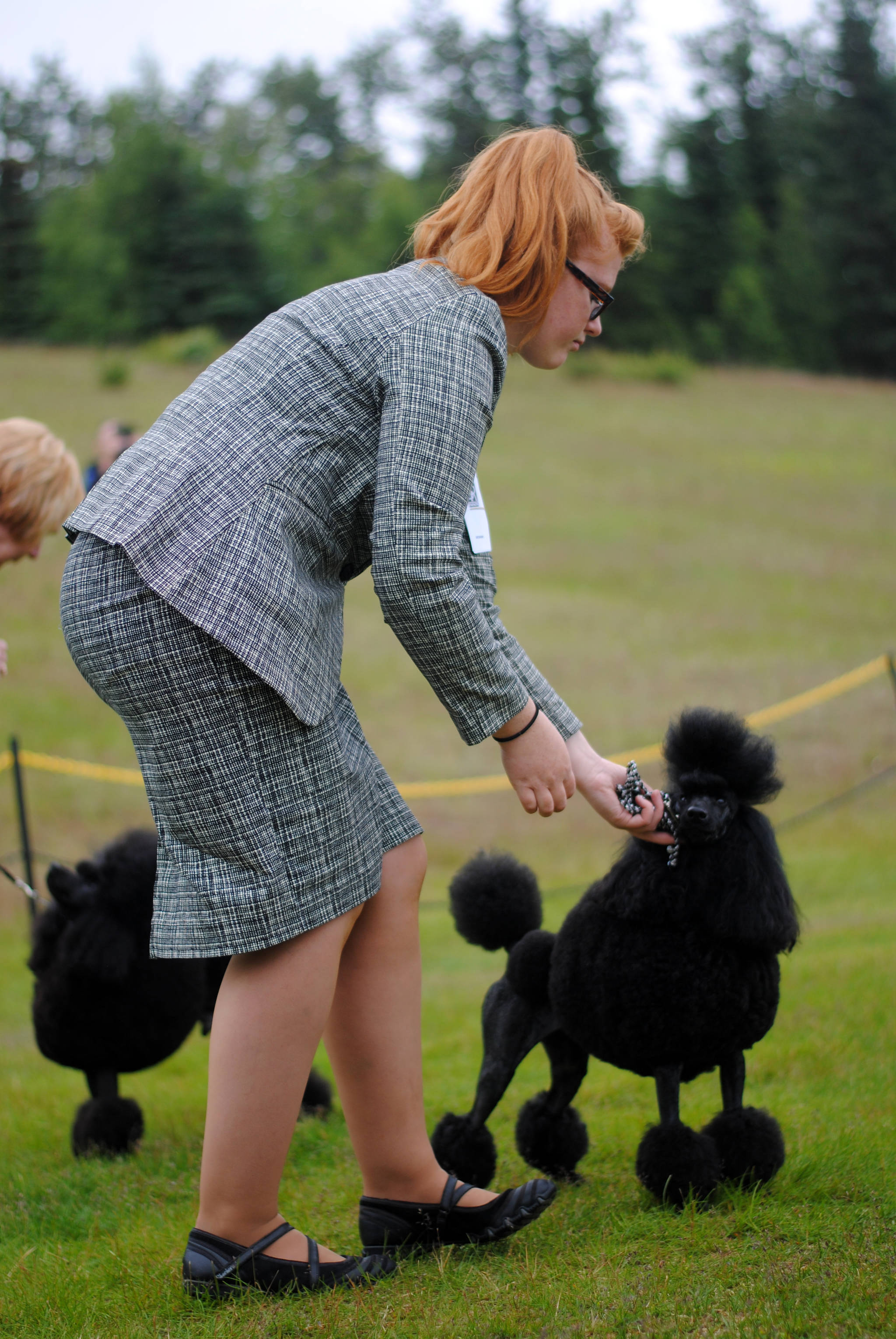 Shadow, a poodle owned by Melody Newberry of Funny River, is handled by Lindsey Pabst of Kenai at the Kenai Kennel Club dog show Saturday, July 15, 2017 at Skyview Middle School in Soldotna, Alaska. (Photo by Kat Sorensen/Peninsula Clarion)