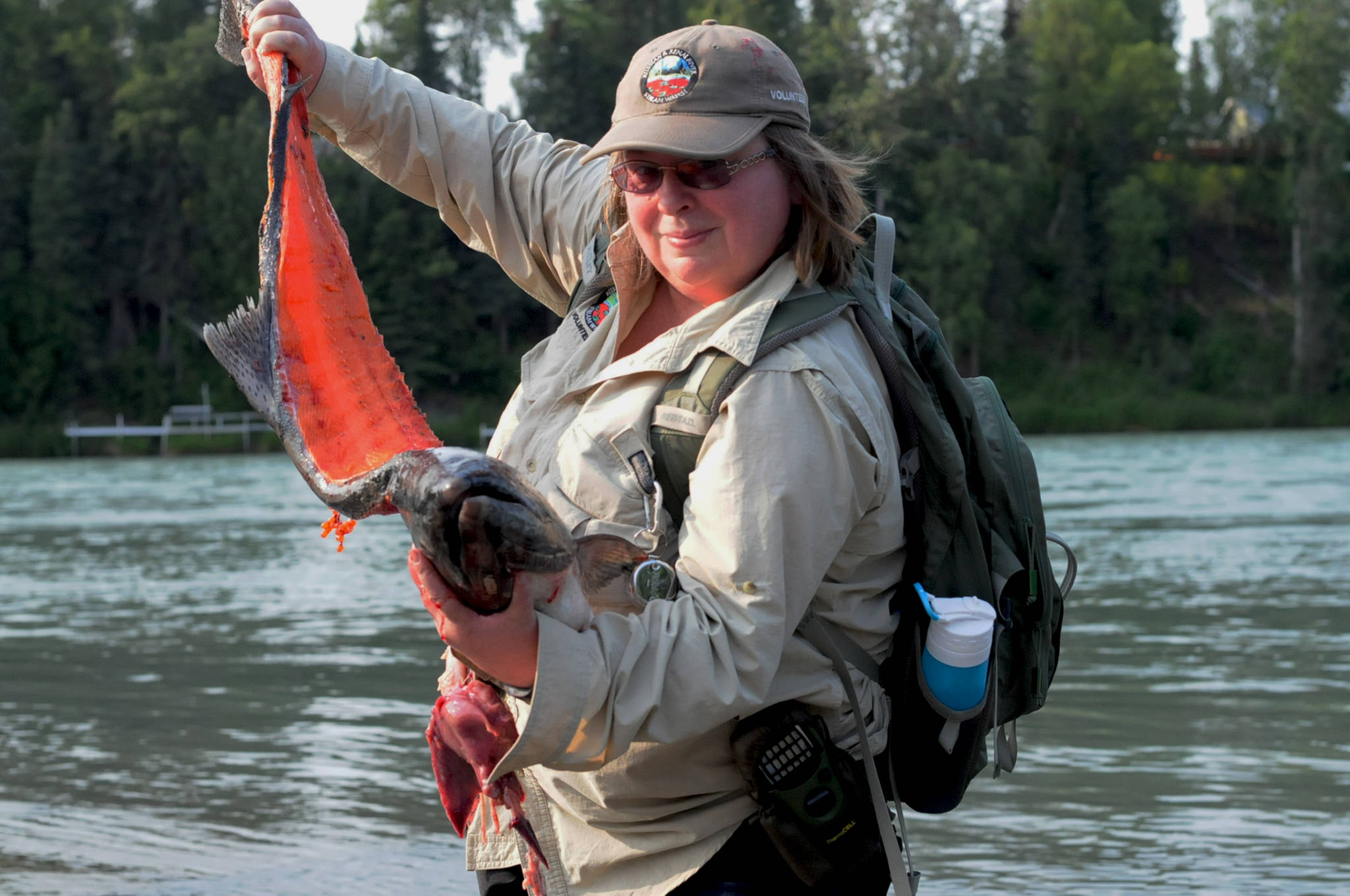 Kathy Heindle, a Kenai Peninsula Stream Watch volunteer, holds up a filleted king salmon carcass before demonstrating how to properly “stop, chop and throw” the carcass into the Kenai River in Centennial Park on Thursday, July 13, 2017 in Soldotna, Alaska. Heindle, who has been volunteering with Stream Watch since 2011, received a “Kingmaker” award from the Kachemak Heritage Land Trust for her work protecting the Kenai River watershed. (Photo by Elizabeth Earl/Peninsula Clarion)