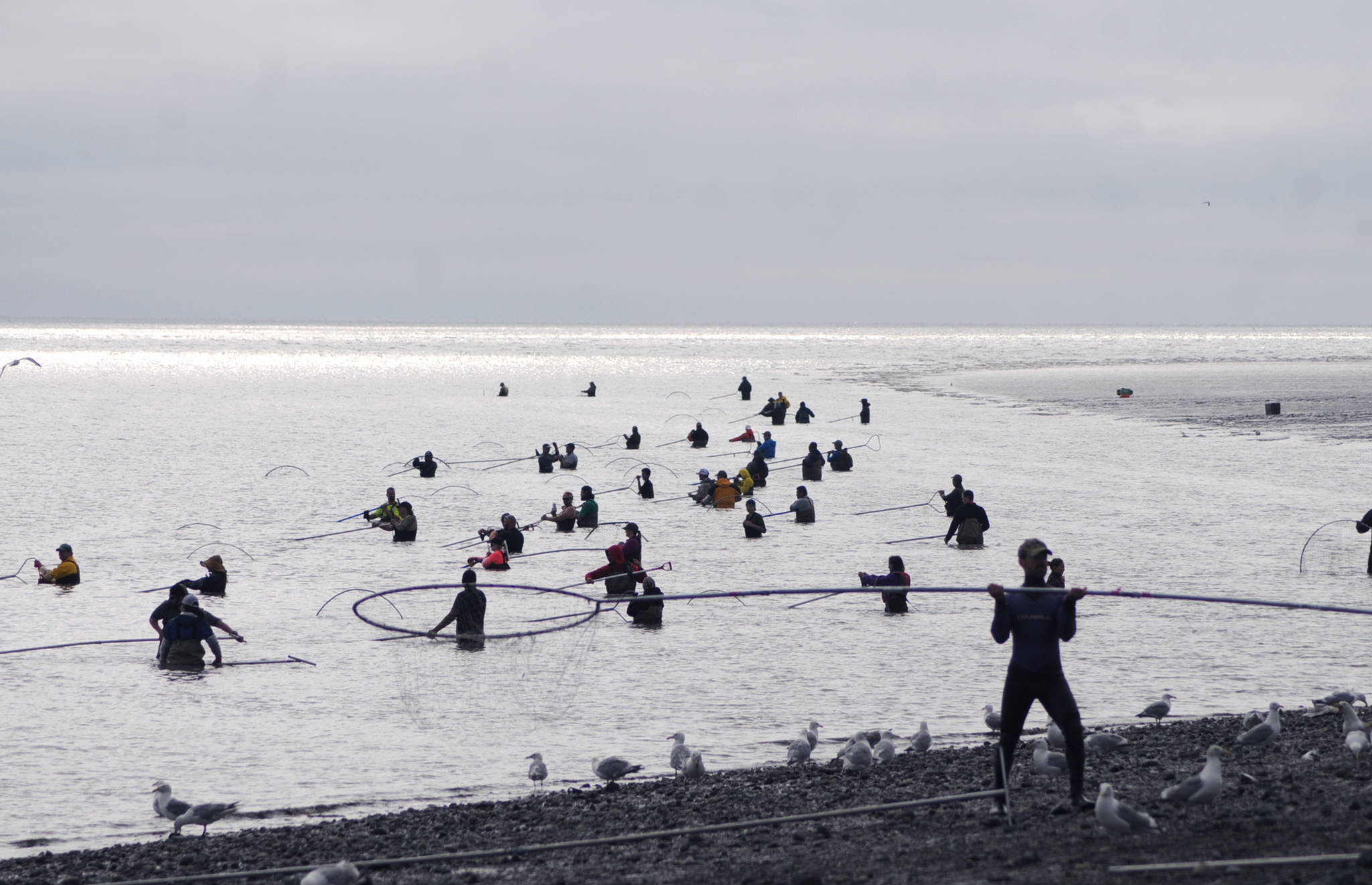 Casting their nets The sun peeks through cloud cover to light up the mouth of the Kenai River as personal-use dipnetters fish from the north Kenai beach Sunday. After several days of heavy rain across the central Kenai Peninsula, the weather began to clear Wednesday, with clouds expected to make way for some sunshine, with temperatures in the mid-60s, according to the National Weather Service. Find more fishing coverage on Page A10. (Photo by Elizabeth Earl/Peninsula Clarion)