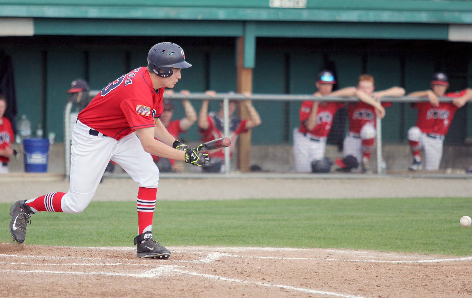 Kenai’s Tanner Ussing puts down a bunt during an 11-3 win over the Palmer Pioneers on Friday, July 21, 2017, at Hermon Brothers Field in Palmer. (Photo by Jeremiah Bartz/Frontiersman)