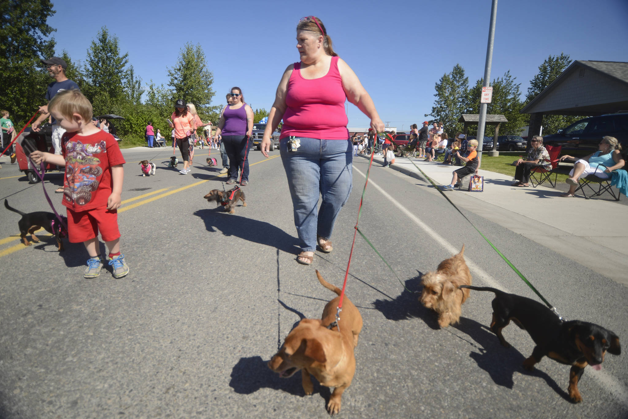 Daschund owners walk in the Soldotna Progress Days Parade, as they have for the past 24 years, as part of the group “Wieners on Parade,” on Saturday, July 22, 2017 in Soldotna, Alaska.