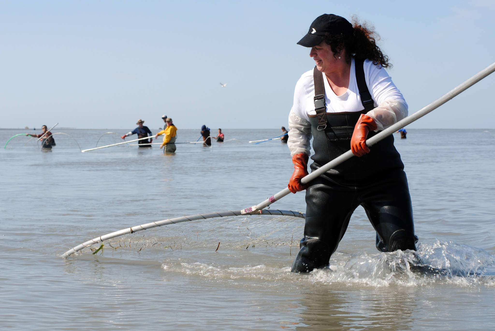 Annie Cromwell of Anchorage brings in a sockeye salmon Sunday, June 23, while dipnetting on the north beach in Kenai, Alaska. (Photo by Kat Sorensen/Peninsula Clarion)