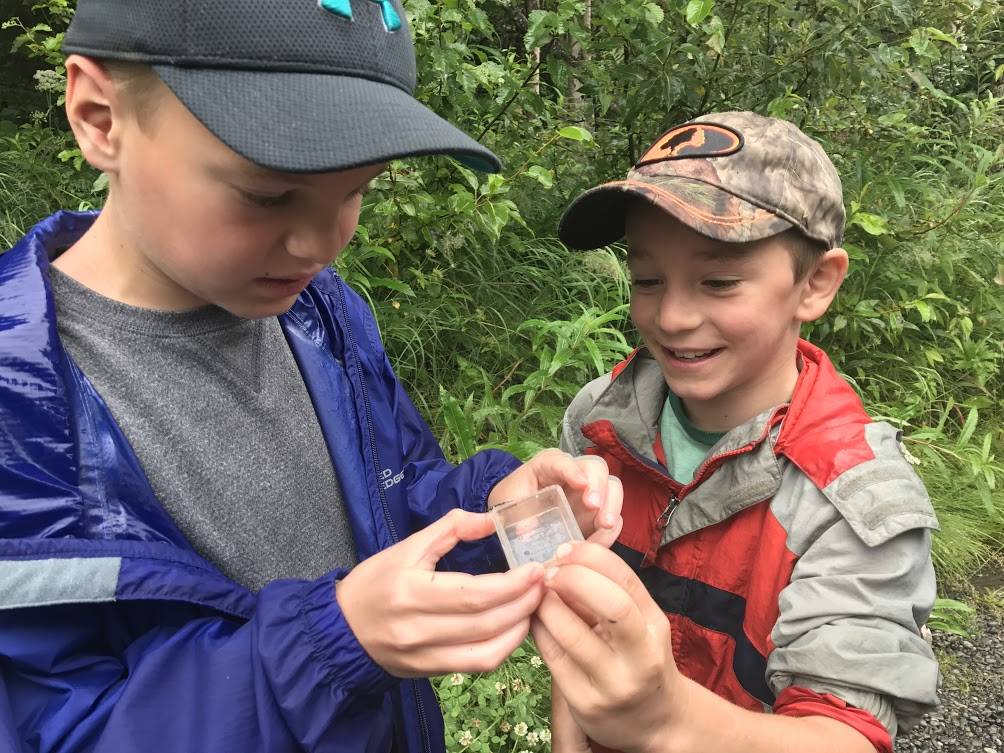 Keenan Young (left) and Landon Beaudon inspect insects they found during a nature walk on Wednesday, July 26, 2017 in Soldotna, Alaska while at Kenai Watershed Forum’s Adopt-A-Stream summer camp. The campers were asked to find bugs and inspect them with their magnifying boxes before returning them back to the wild. (Photo by Kat Sorensen/Peninsula Clarion)