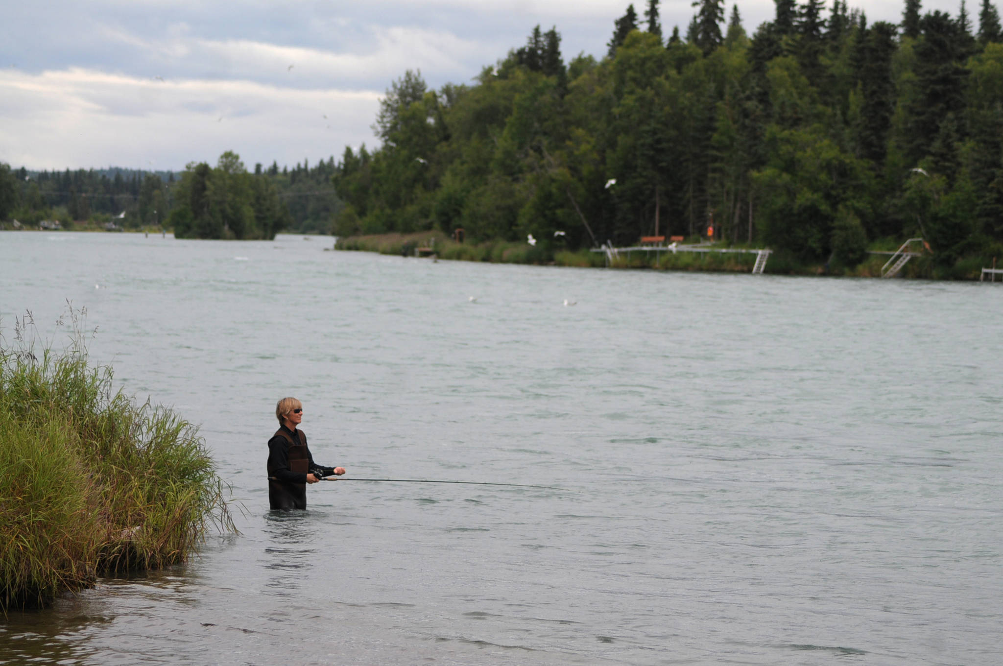 An angler flips for sockeye salmon from the bank of the Kenai River near its confluence with Soldotna Creek on Tuesday, Aug. 1, 2017 in Soldotna, Alaska. (Photo by Elizabeth Earl/Peninsula Clarion)