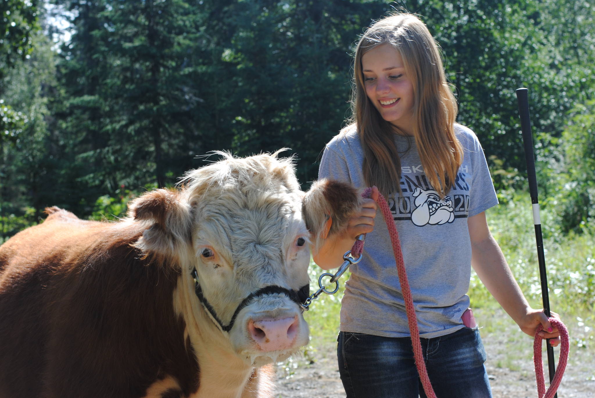 Auction ready: 4-H club prepares for annual auction event