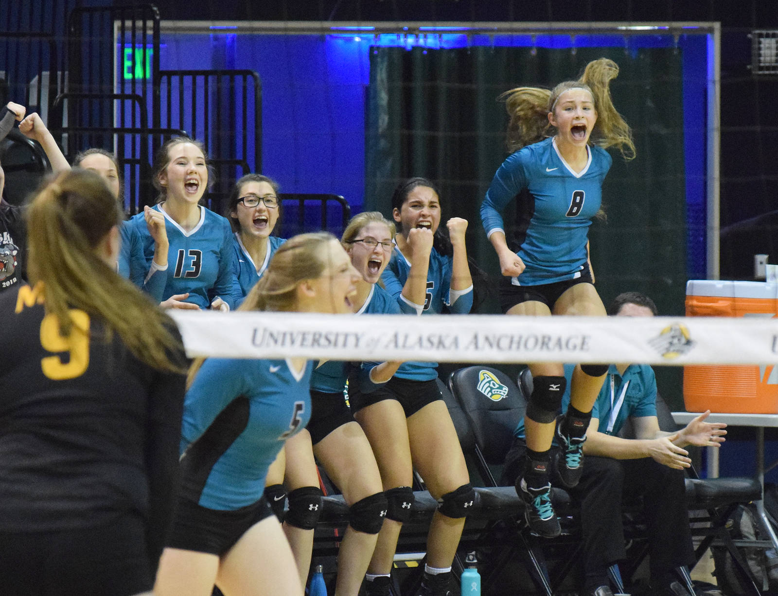 Photo by Joey Klecka/Peninsula Clarion Nikiski’s Kaitlyn Johnson (8) jumps up in excitement along with the Nikiski bench Nov. 11, 2016, at the Class 3A state volleyball tournament at the Alaska Airlines Arena in Anchorage.