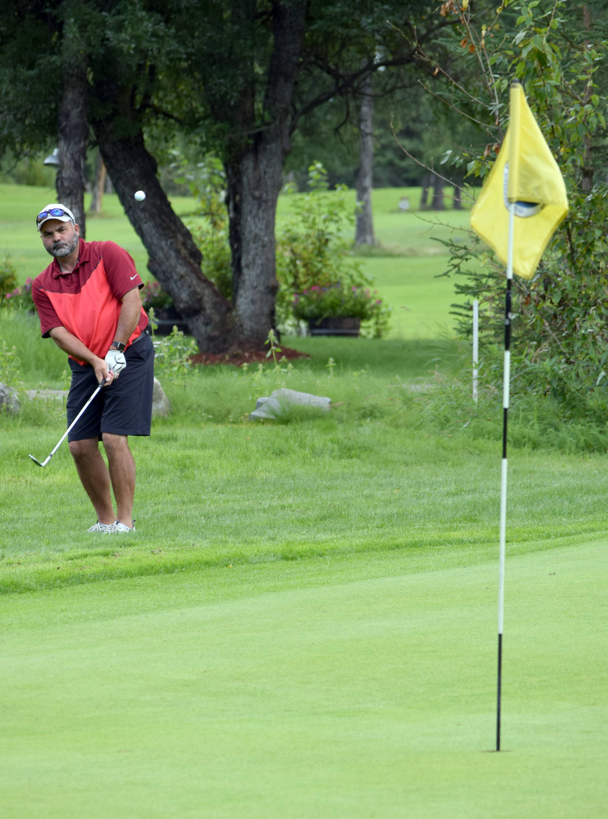 Palmer Golf Course pro Rob Nelson chips to the 18th green during a second playoff hole at the Kenai Peninsula Open on Sunday, Aug. 27, 2017, at Birch Ridge Golf Course. Nelson would birdie the hole to win the tournament. (Photo by Jeff Helminiak/Peninsula Clarion)