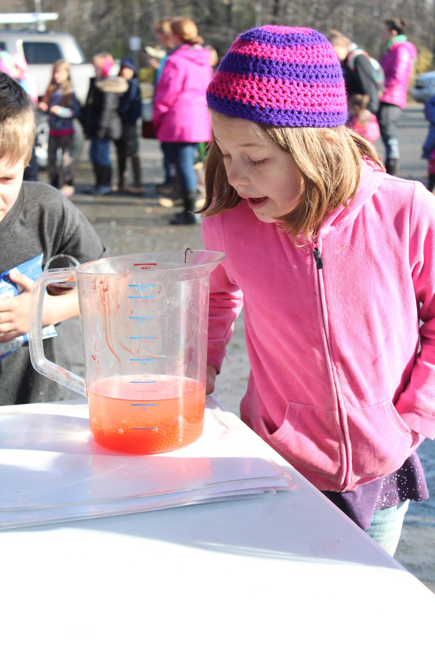 Elementary school students take turns looking at salmon eggs that have been mixed with milt from a male coho and water to start the fertilization process during an egg take demonstration Thursday, Oct. 5, 2017 at the Anchor River in Anchor Point, Alaska. Students from all over the Kenai Peninsula Borough School District participate in the Salmon in the Classroom program, which takes them through the life cycle of salmon. (Photo by Megan Pacer/Homer News)
