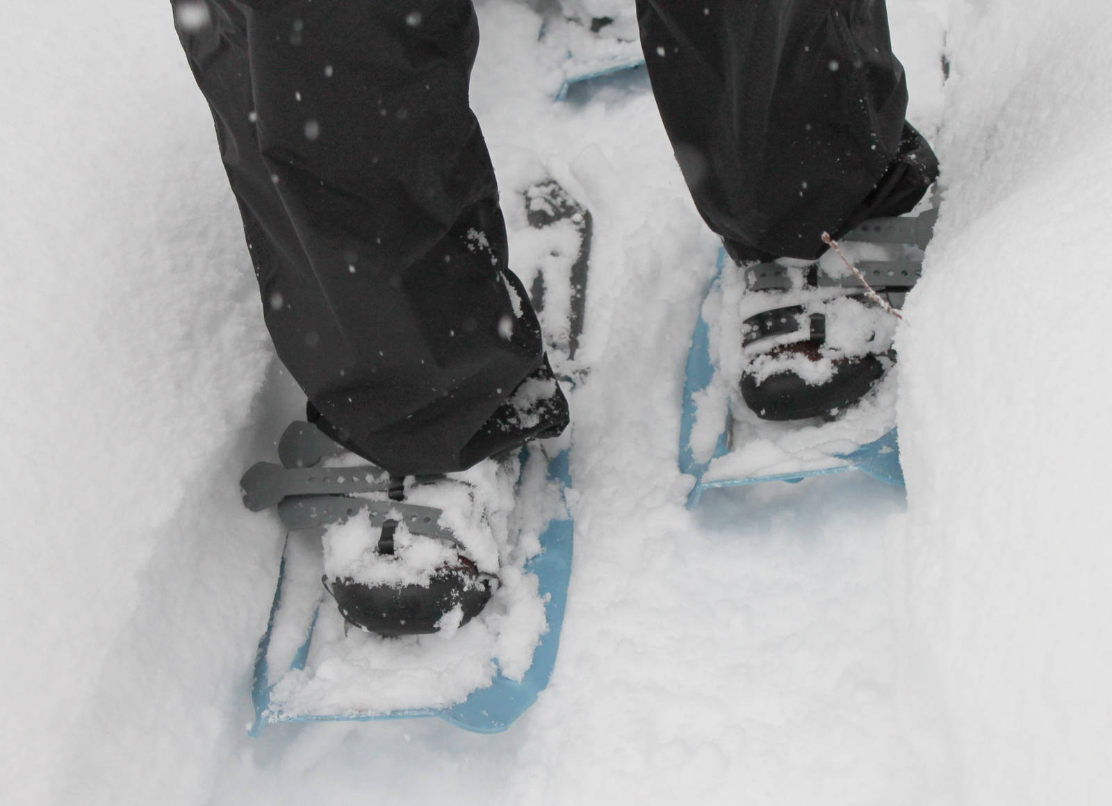 A snowshoer enjoys Tsalteshi Trails in this Decmeber 2013 file photo. A wide range of sports gear will be available at the Kenai Central High School ski team’s annual gear swap Saturday at the school. (Clarion file photo)