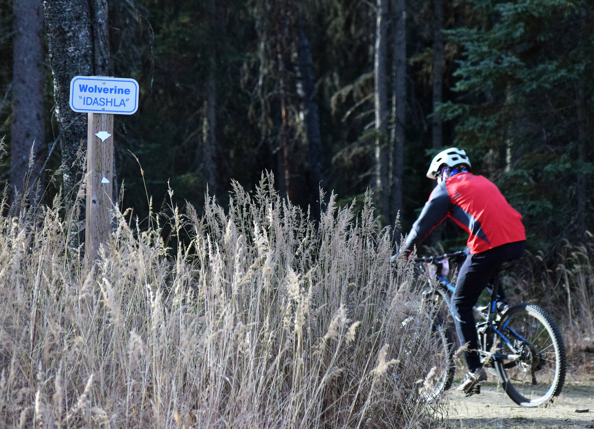 A cyclist races by the trailhead sign in the Polar Vortex bicycle race Saturday afternoon at the Tsalteshi Trails in Soldotna. (Photo by Joey Klecka/Peninsula Clarion)