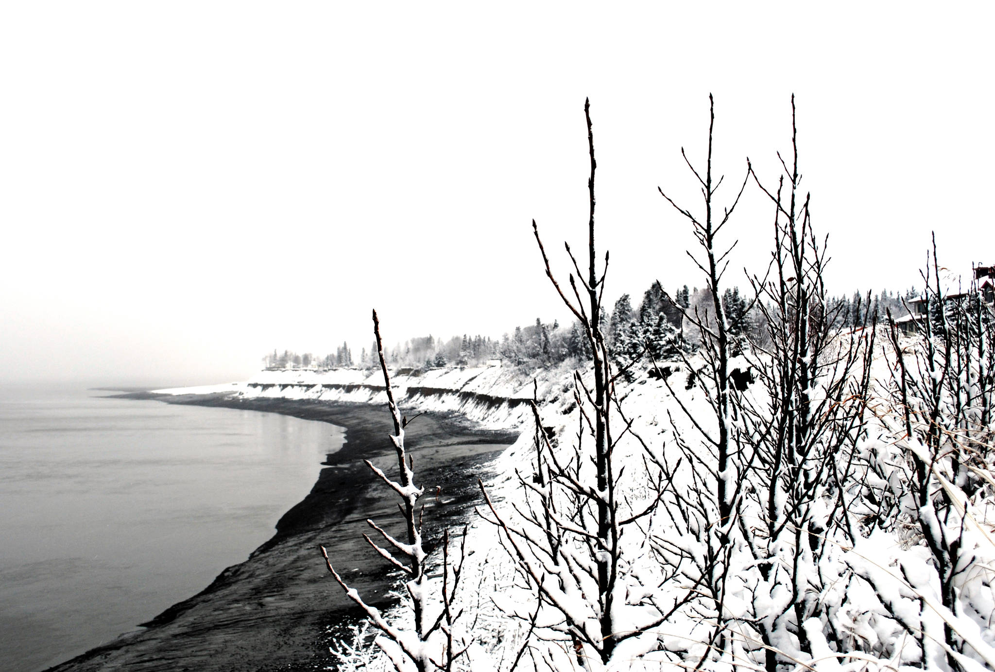 Several inches of snow blanket the bluff along the Kenai River on Sunday afternoon during a slow snow fall that covered the Soldotna and Kenai area. (Photo by Kat Sorensen/Peninsula Clarion)