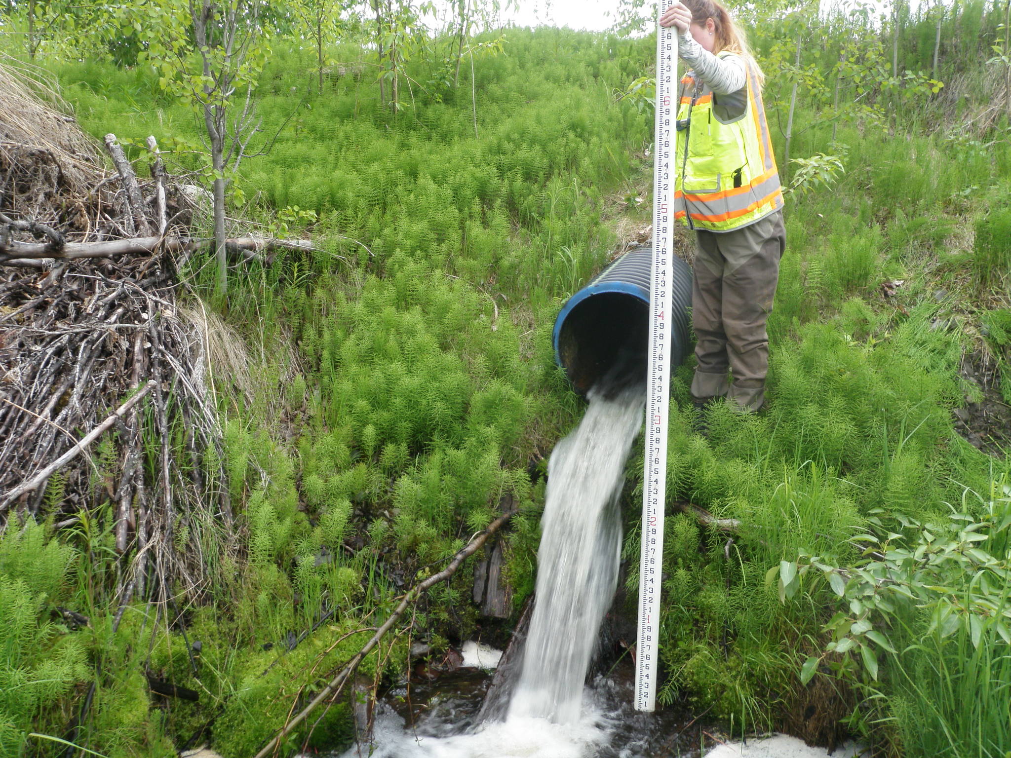 This perched stream culvert clearly prevents salmon and other anadromous fish from migrating further upstream and would be color coded as red in the ADF&G Fish Resource Monitor. (Photo courtesy Kenai National Wildlife Refuge)