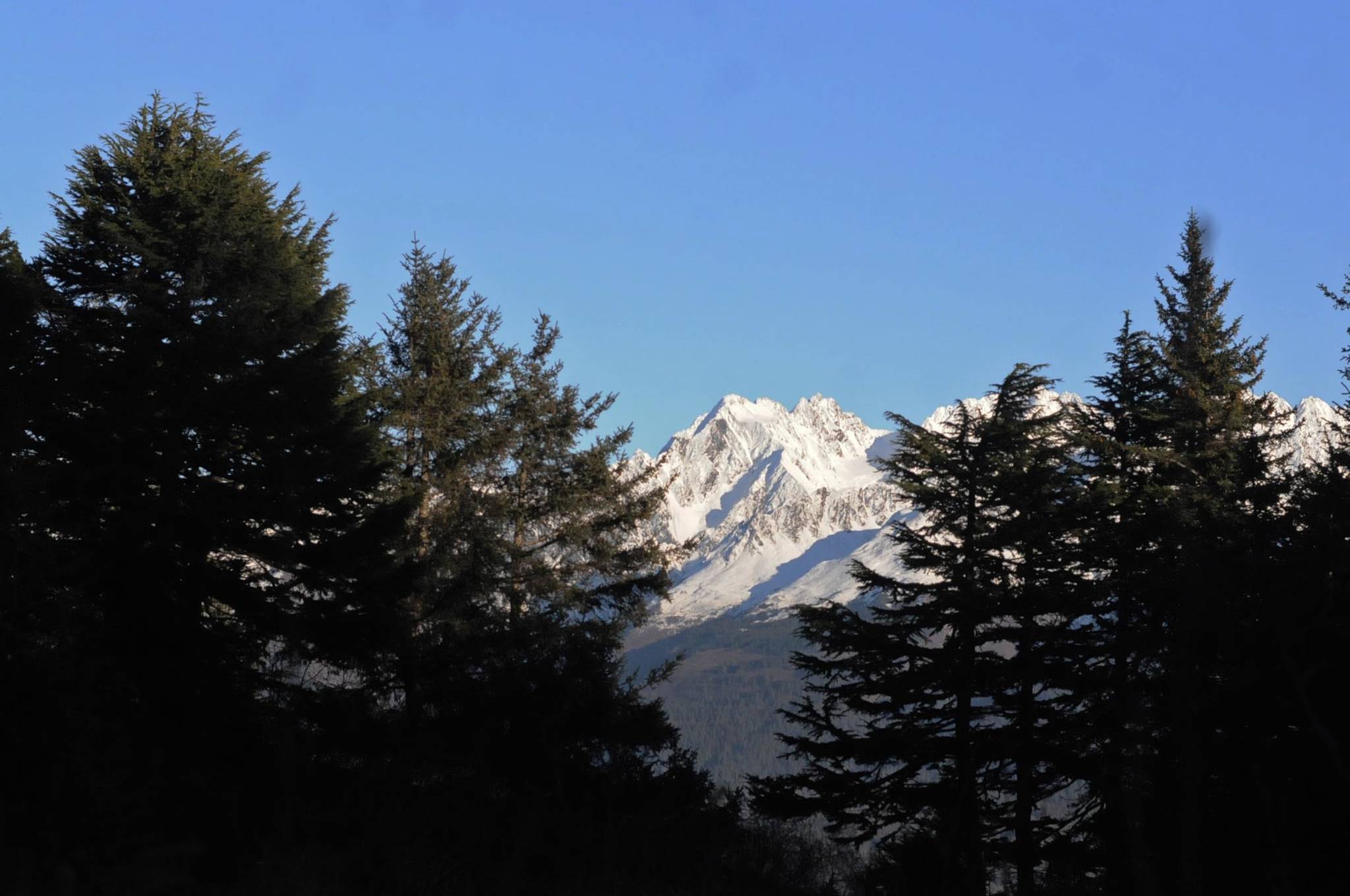 In this November 2016 file photo, a peak in the Chugach Mountains looms above a spruce forest near Seward, Alaska. (Photo by Elizabeth Earl/Peninsula Clarion, file)