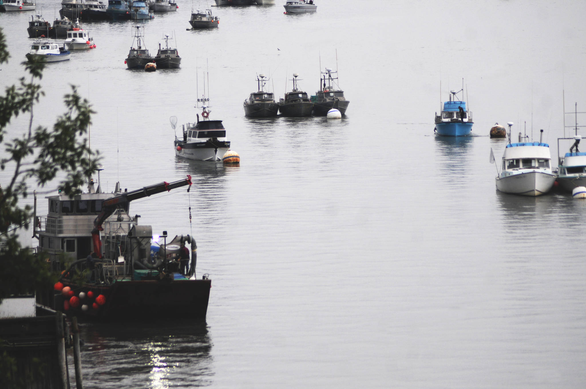 Commercial fishing vessels wait at anchor in the mouth of the Kenai River before a Saturday fishing period Friday, July 28, 2017 in Kenai, Alaska. (Photo by Elizabeth Earl/Peninsula Clarion, file) Commercial fishing vessels wait at anchor in the mouth of the Kenai River before a Saturday fishing period July 28 in Kenai. (Photo by Elizabeth Earl/Peninsula Clarion, file)