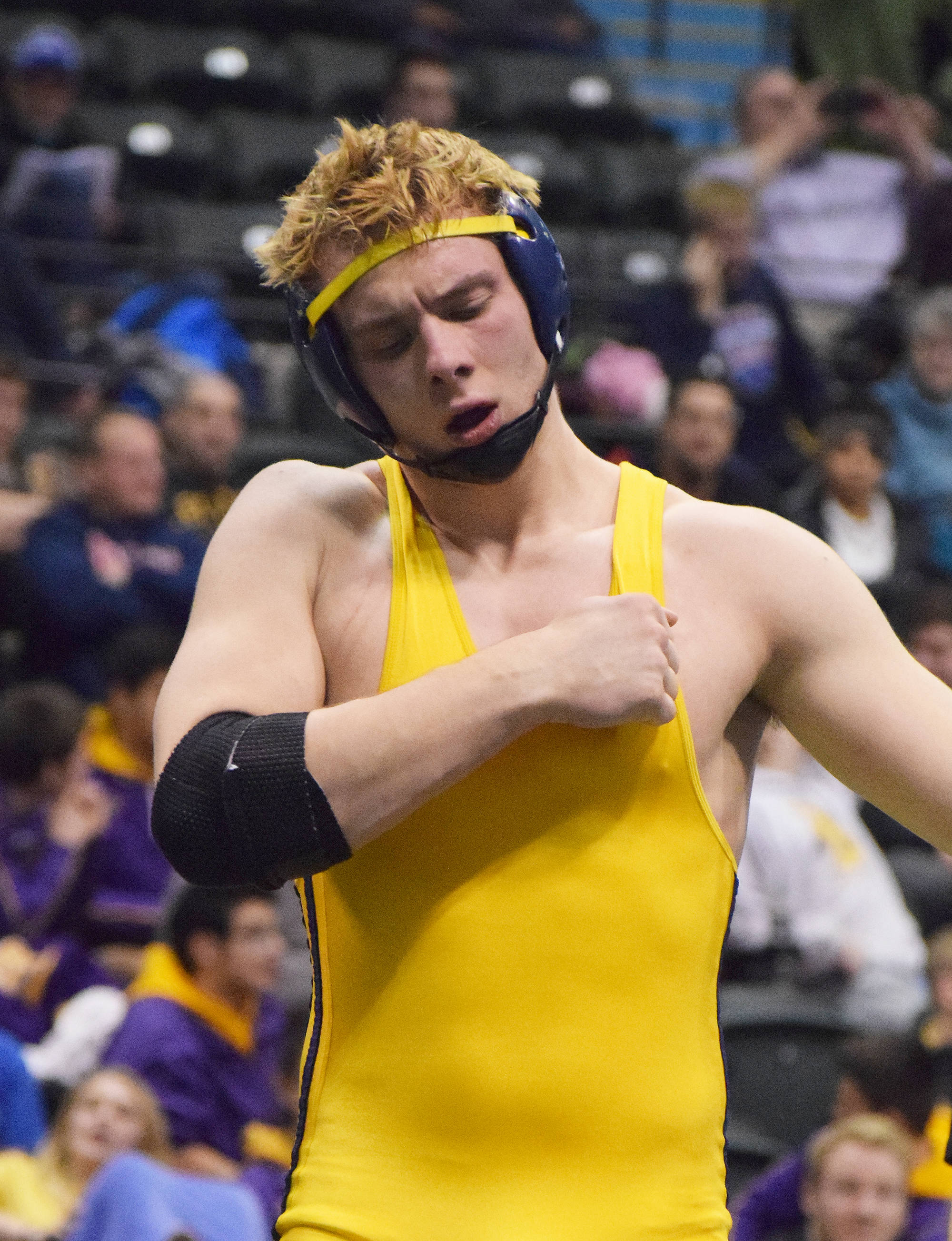 Levi King of Homer pounds his chest in celebration after winning the 195-pound Division II title Saturday night at the state wrestling championships at the Alaska Airlines Center in Anchorage. (Photo by Joey Klecka/Peninsula Clarion)