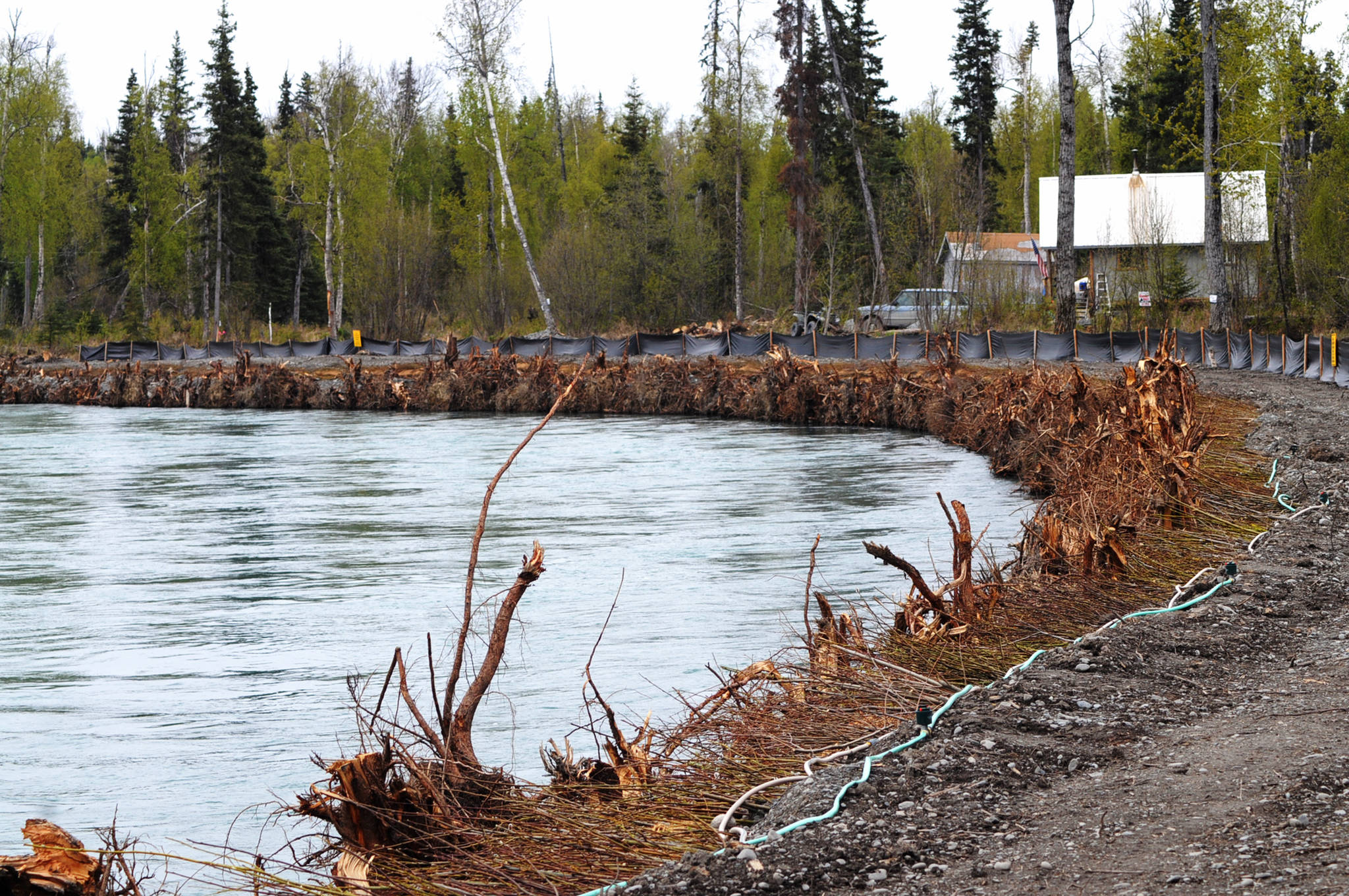 The Kenai River flows by the newly restored riverbank of Dow Island on Saturday, May 27, 2017 in Funny River, Alaska. A group of four property owners banded together this spring to install the extensive project to protect the bank of the island in the Kenai River from rapid erosion. (Elizabeth Earl/Peninsula Clarion)