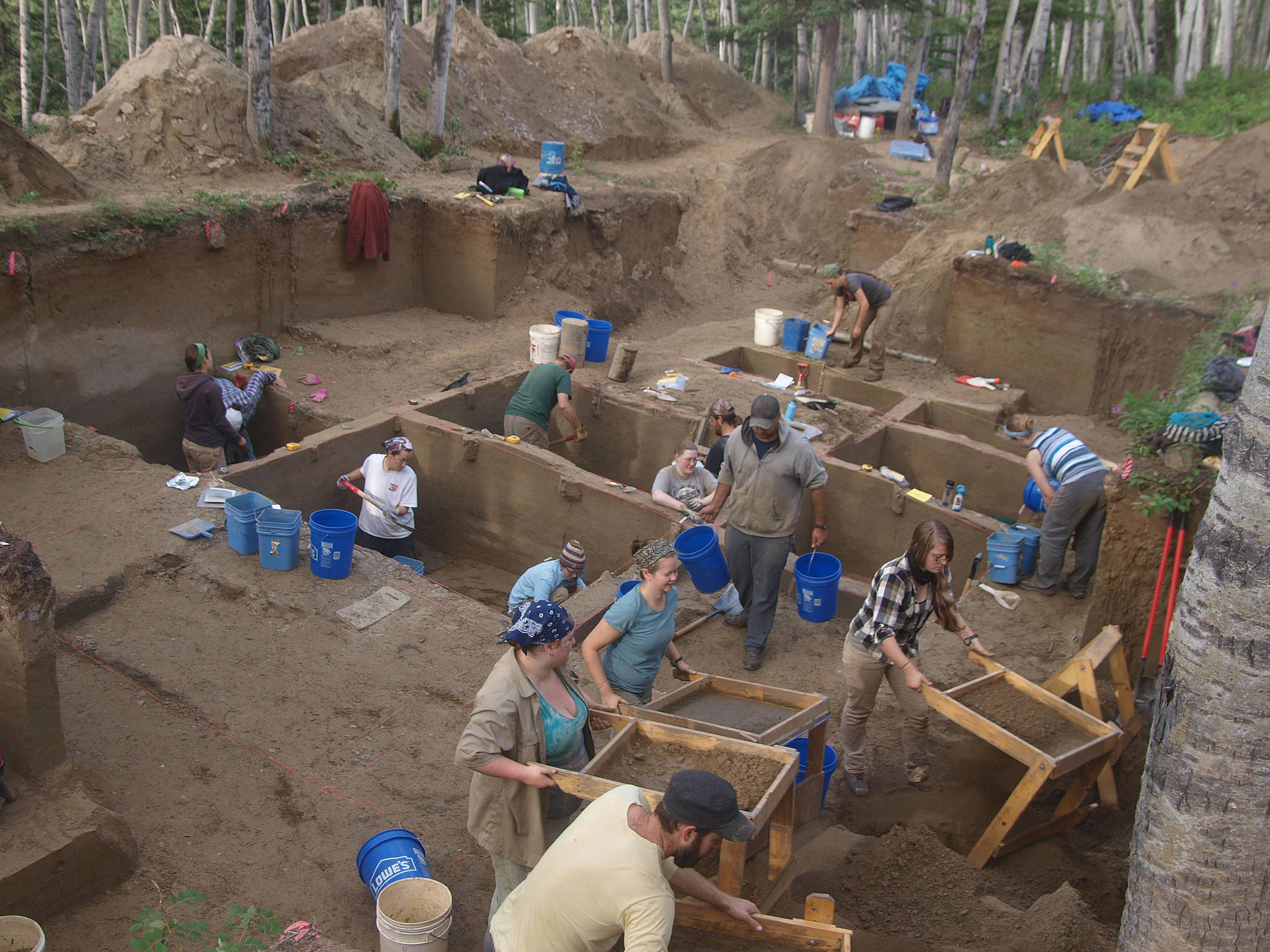 In this August 2013 photo provided by the University of Alaska, excavators work at the Upward Sun River discovery site in Alaska. According to a report released on Wednesday, DNA from an infant who died in Alaska some 11,500 years ago, found at this site, is giving scientists the best look yet at the genetics of the ancestors of today’s native peoples of the Americas. (Ben Potter/University of Alaska via AP)