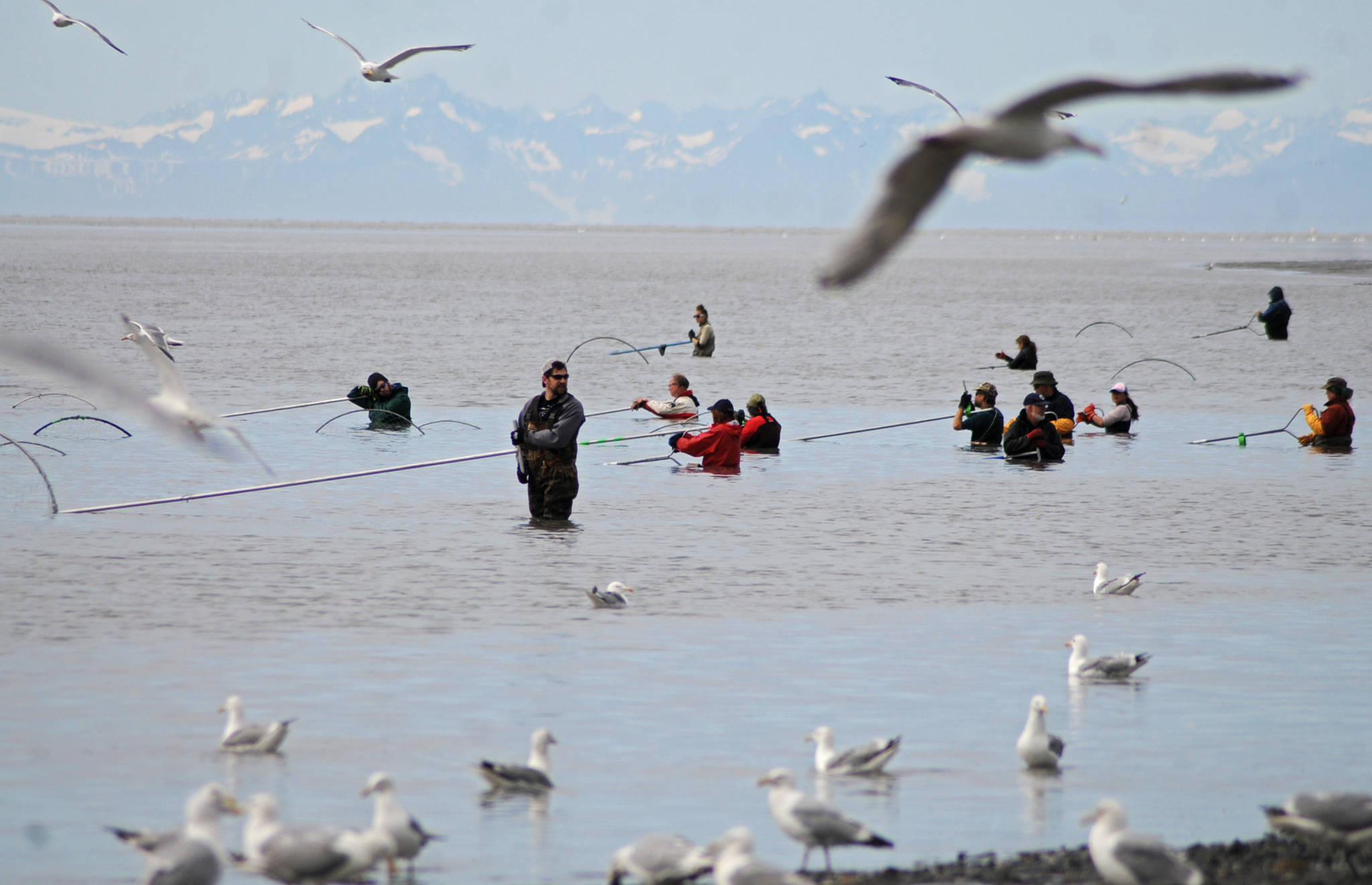 Dipnetters hold their nets offshore from the north Kenai Beach on July 11, 2017 in Kenai. (Photo by Elizabeth Earl/Peninsula Clarion, file)