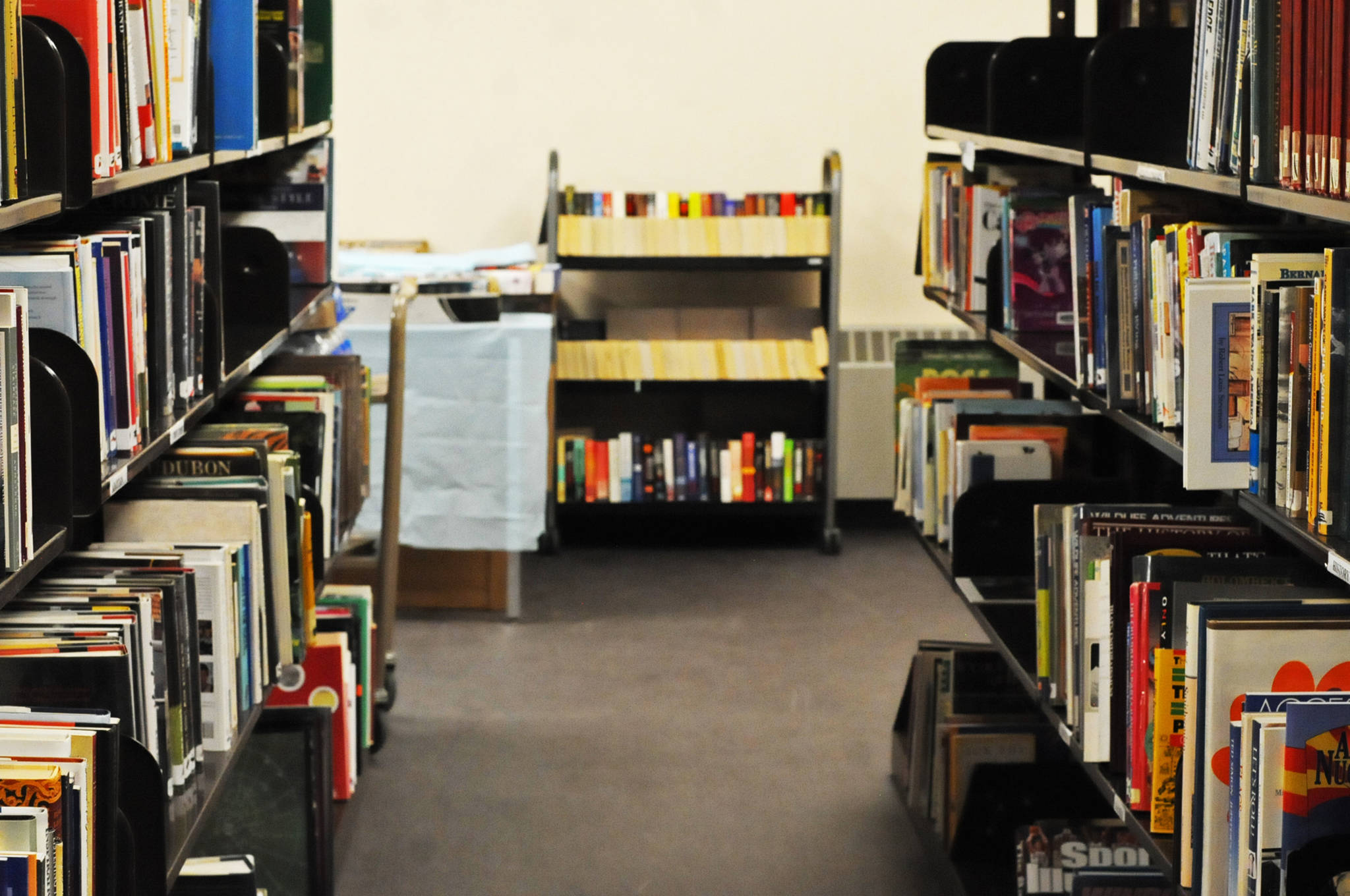 This July 12, 2017 file photo shows the newly renovated basement of the Joyce K. Carver Memorial Library in Soldotna, Alaska. (Photo by Elizabeth Earl/Peninsula Clarion, file)