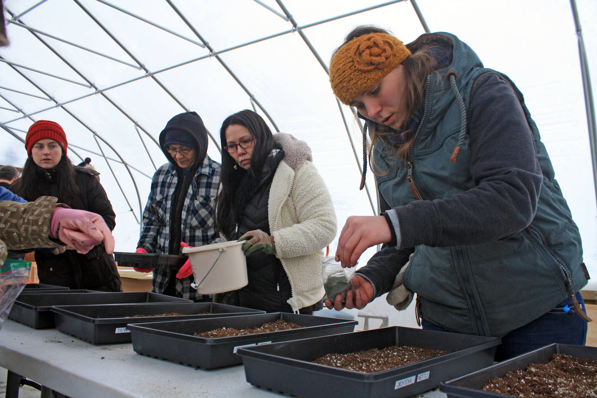 Jasmine Koster, right, plants seeds during at the Dena’ina Wellness Center greenhouse on Thursday, Jan. 25. The wellness center hosted a workshop on how to germinate local seeds traditionally. (Photo by Erin Thompson/Peninsula Clarion)