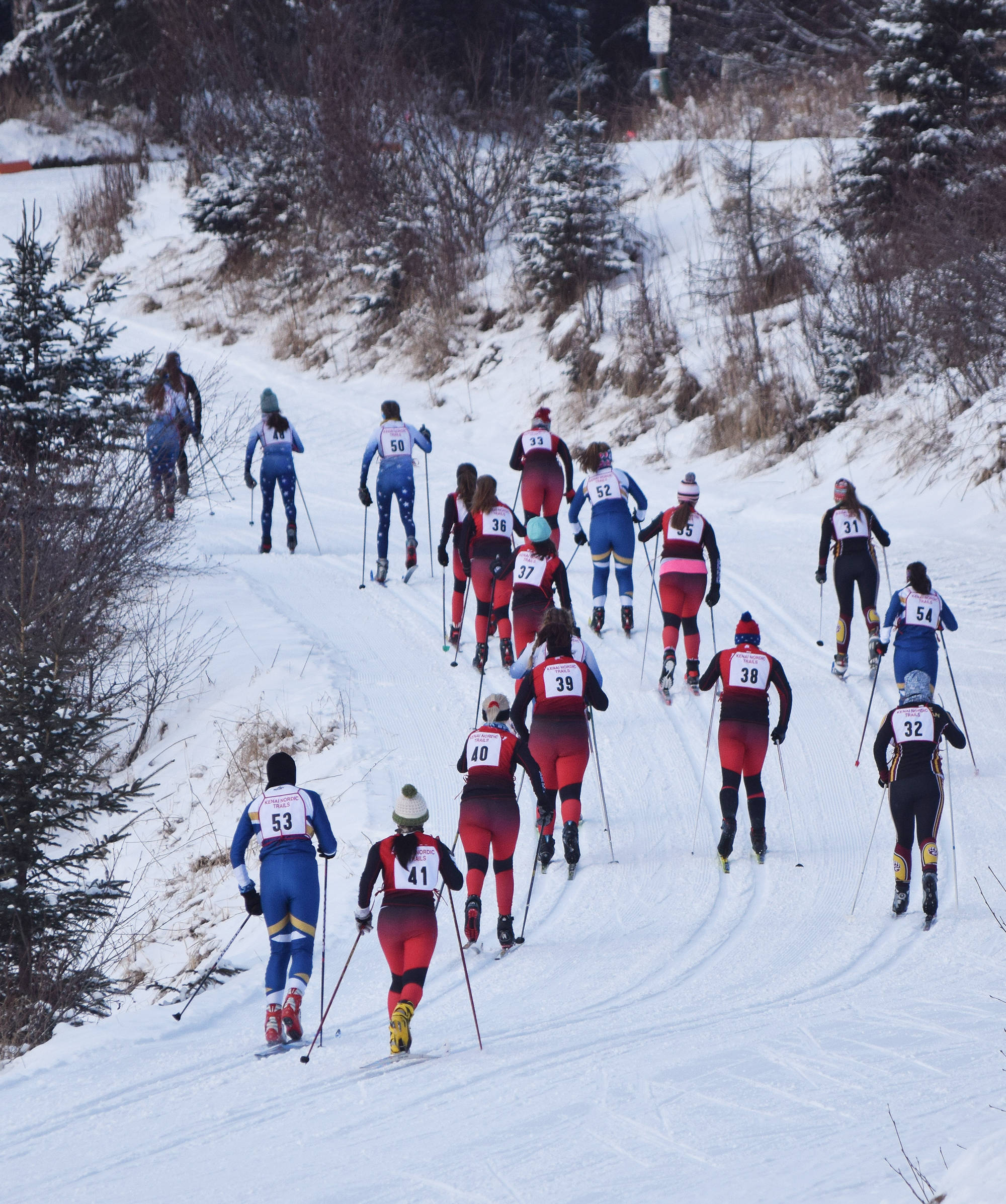 The field of girls varsity racers climb up a hill early in the Kenai Klassic races Friday afternoon at the Tsalteshi Trails in Soldotna. (Photo by Joey Klecka/Peninsula Clarion)