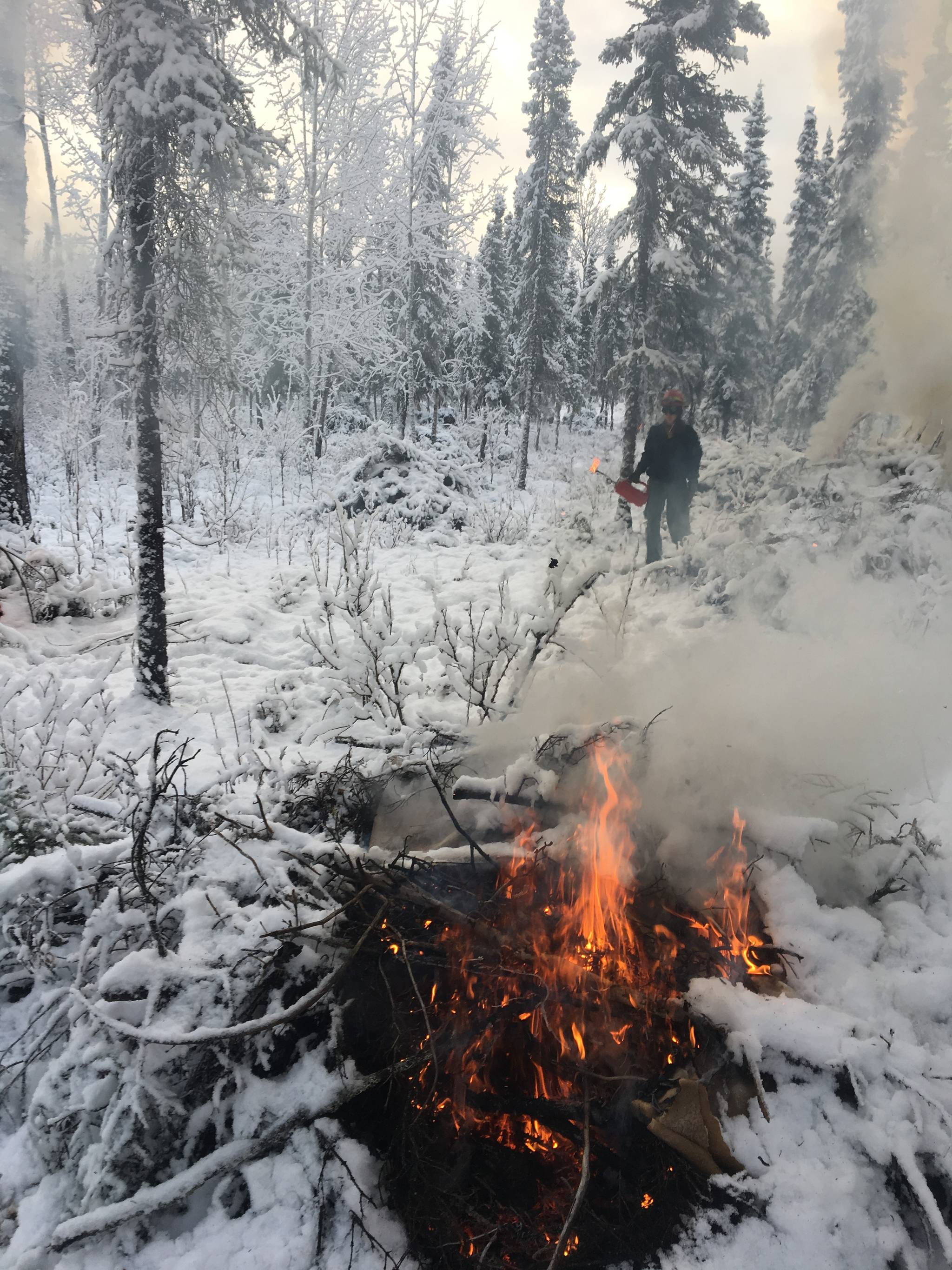 A fire official monitors a prescribed burn at the Kenai National Wildlife Refuge in 2016. The refuge is conducting prescribed burns to reduce wildfire risk this week. (Photo courtesy of the U.S. Fish and Wildlife Service)