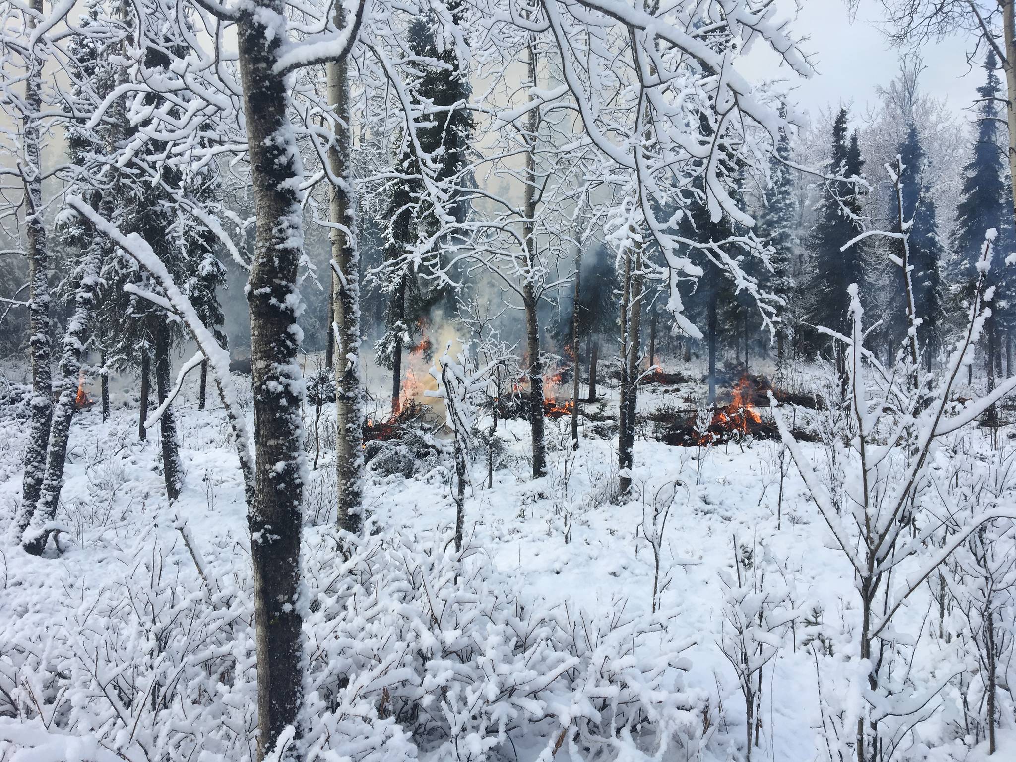 A fire burns as part of a fire management plan at the Kenai National Wildlife Refuge in 2016. Fire officials are conducting prescribed burns to reduce wildfire risk at the refuge this week. (Photo courtesy of the U.S. Fish and Wildlife Service)