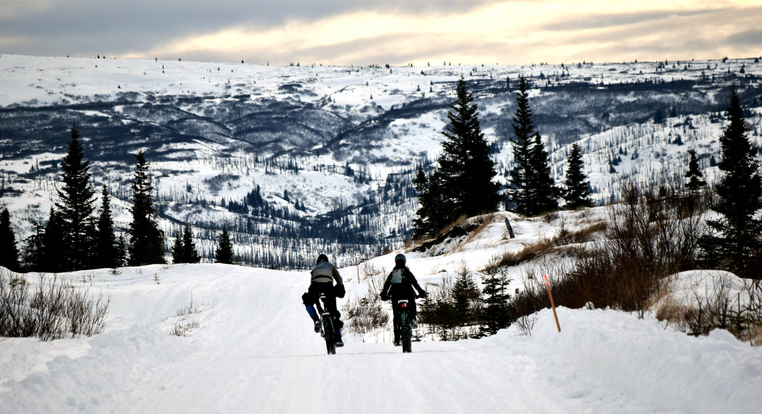 Doug Armstrong and Julie Stephens near the end of Fat Freddie’s Bike Race and Ramble on Saturday, Feb. 10, 2018, in the Caribou Hills. (Photo by Jeff Helminiak/Peninsula Clarion)