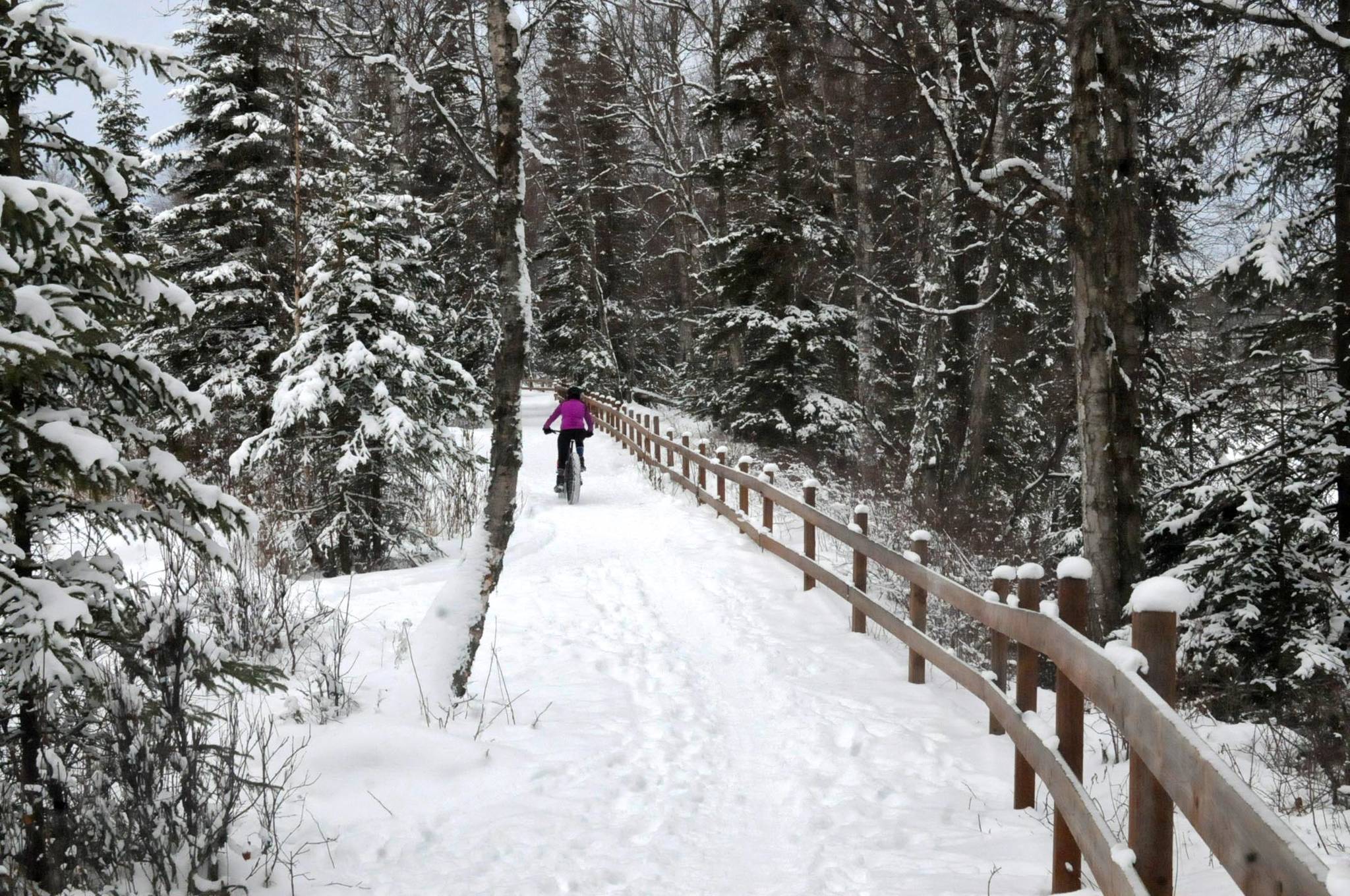 A bicyclist makes her way down the path at Centennial Park on Sunday, Feb. 11, 2018 in Soldotna, Alaska. The Soldotna Department of Parks and Recreation recently began grooming the loop trail at Centennial Park for multiple uses, from walking to skiing to biking. The central Kenai Peninsula got a fresh coat of snow Saturday, with more predicted for Sunday night and Monday. (Photo by Elizabeth Earl/Peninsula Clarion)