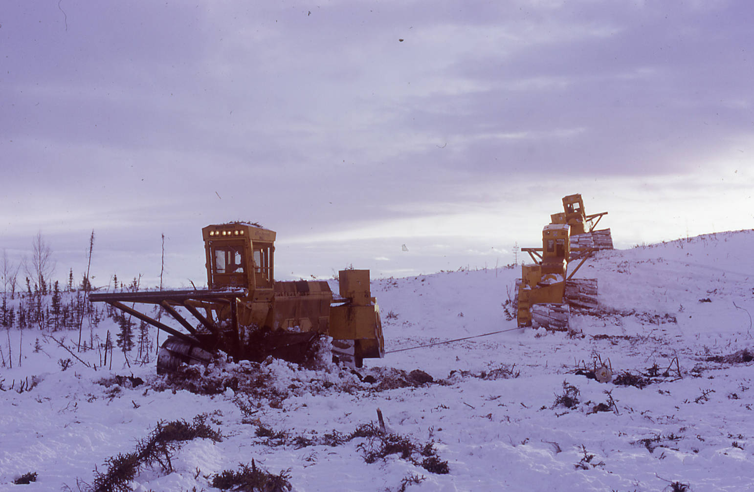 LeTourneau tree crushers were used in the 1970s to create browse for moose on the Kenai National Moose Range. (Photo courtesy Kenai National Wildlife Refuge)