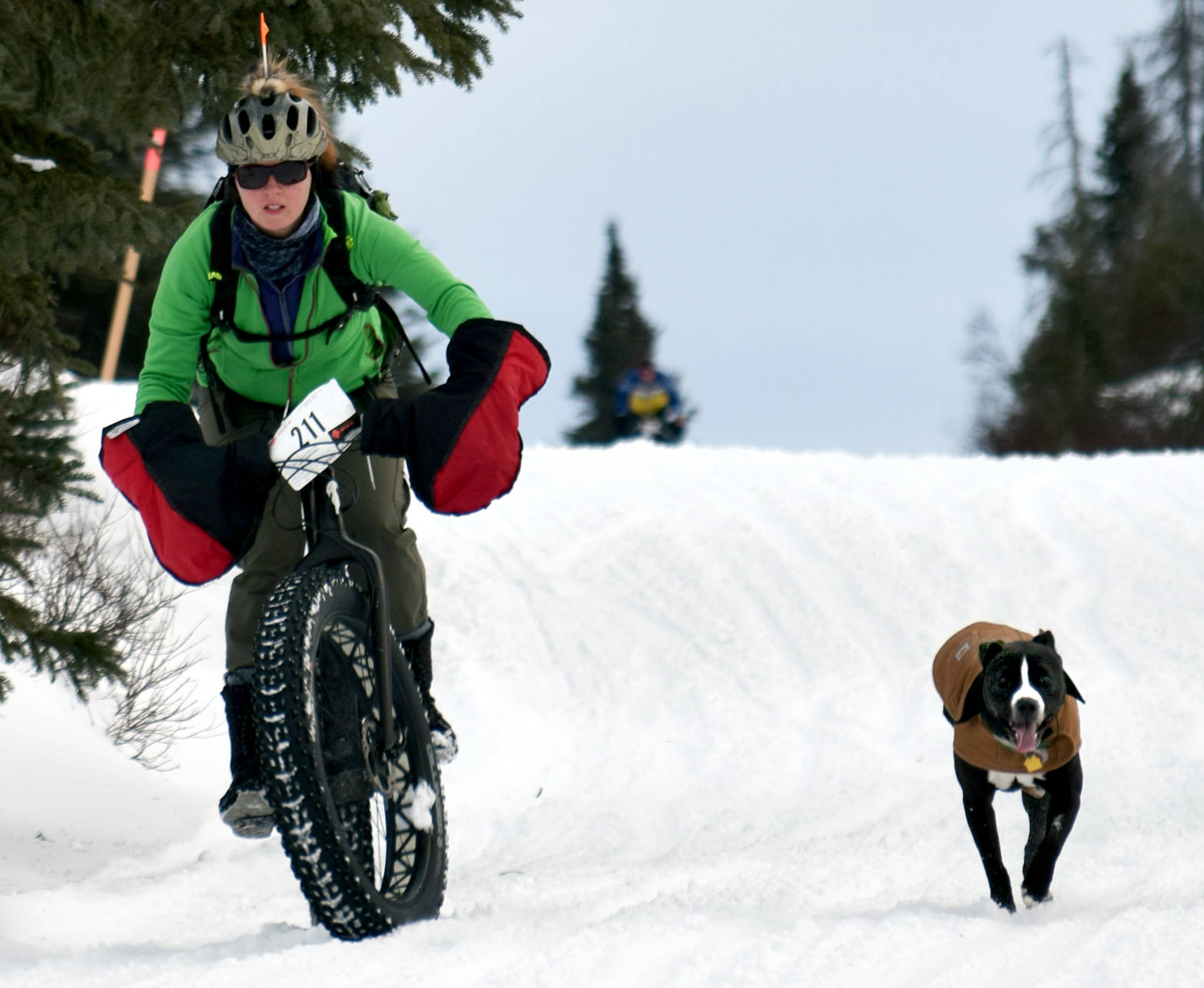 Cody Czer-Ransom and her dog, Drifter, slalom down a hill Feb. 10 during Fat Freddie’s Bike Race and Ramble in the Caribou Hills. With school vacation just a week away and daylight hours getting longer, now is a great time to get outdoors. See Page B1 for some more spring break ideas. (Photo by Jeff Helminiak/Peninsula Clarion)