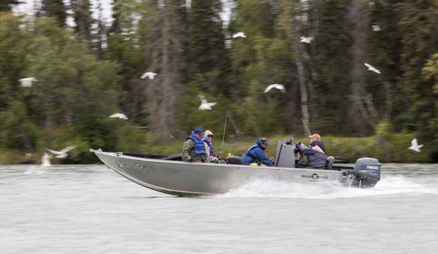 This June 2016 photo shows a king salmon caught in a personal-use set gillnet on the beach north of the mouth of the Kasilof River near Kasilof, Alaska. (Photo by Elizabeth Earl/Peninsula Clarion) In this July 24, 2016 file photo, a guide boat motors upstream on the Kenai River near Kenai, Alaska. (Photo courtesy Rashah McChesney, file)